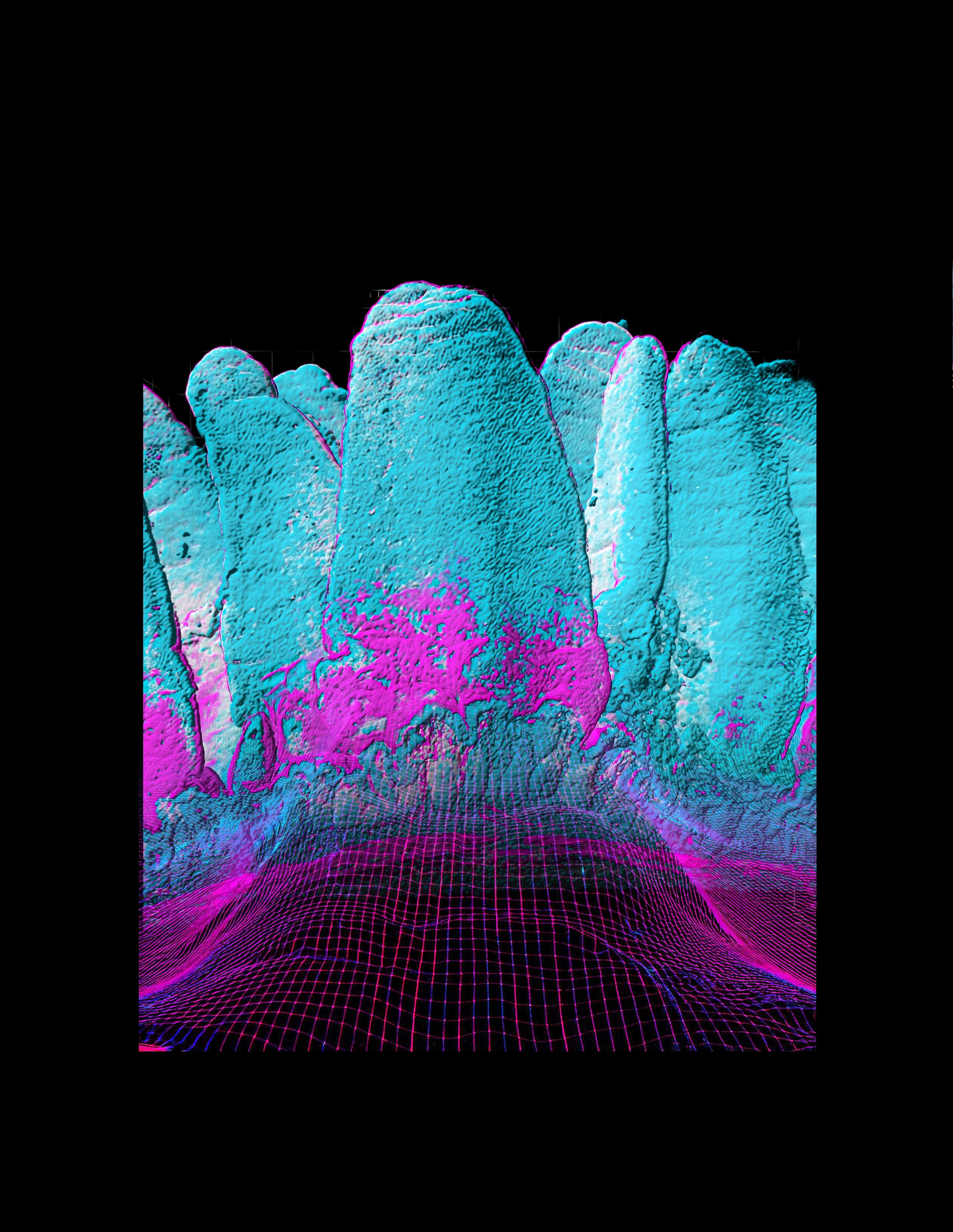 © IMBA/Onji_Kulcsar