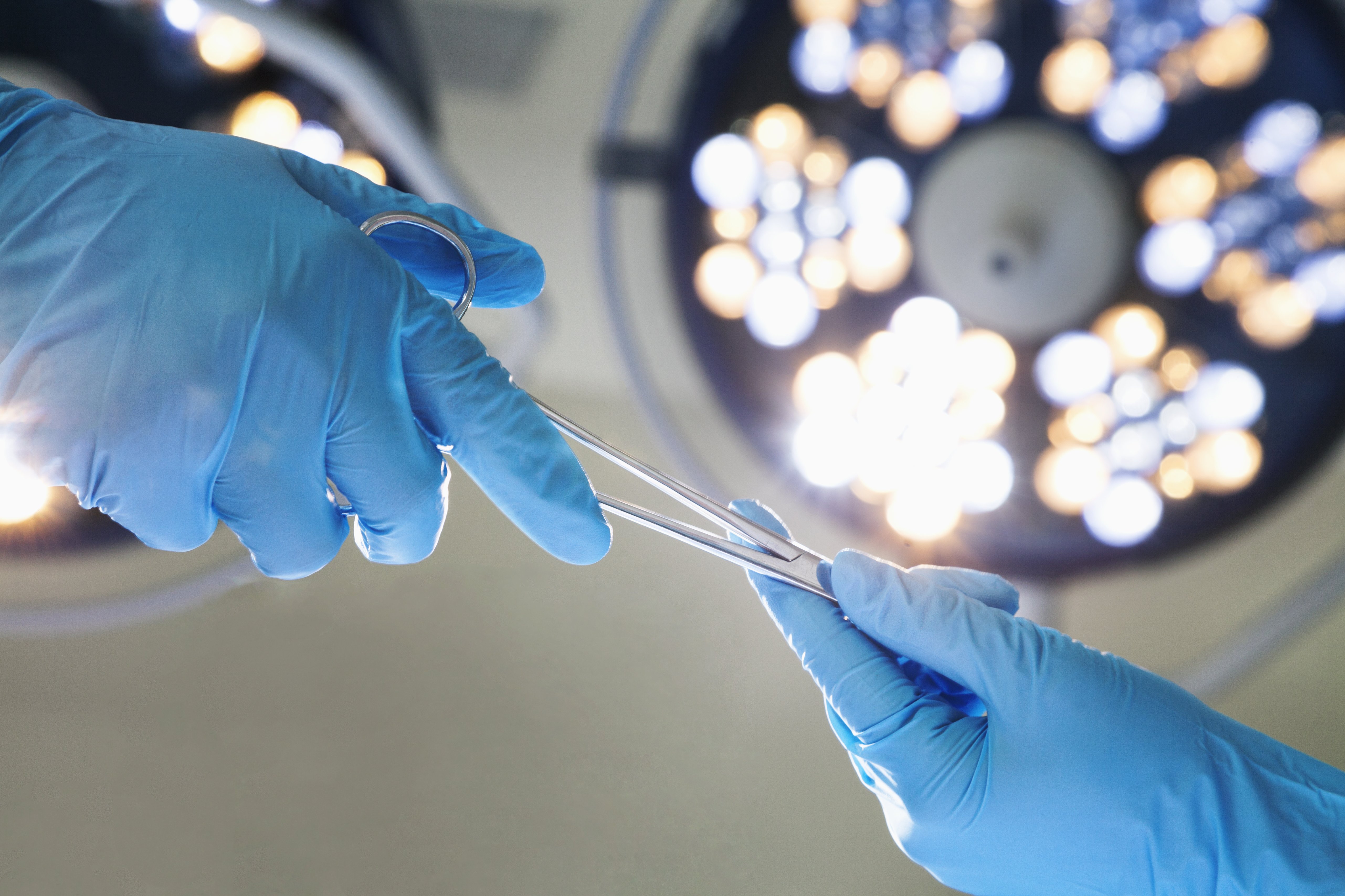 Copyright (c) 2013 XiXinXing/Shutterstock