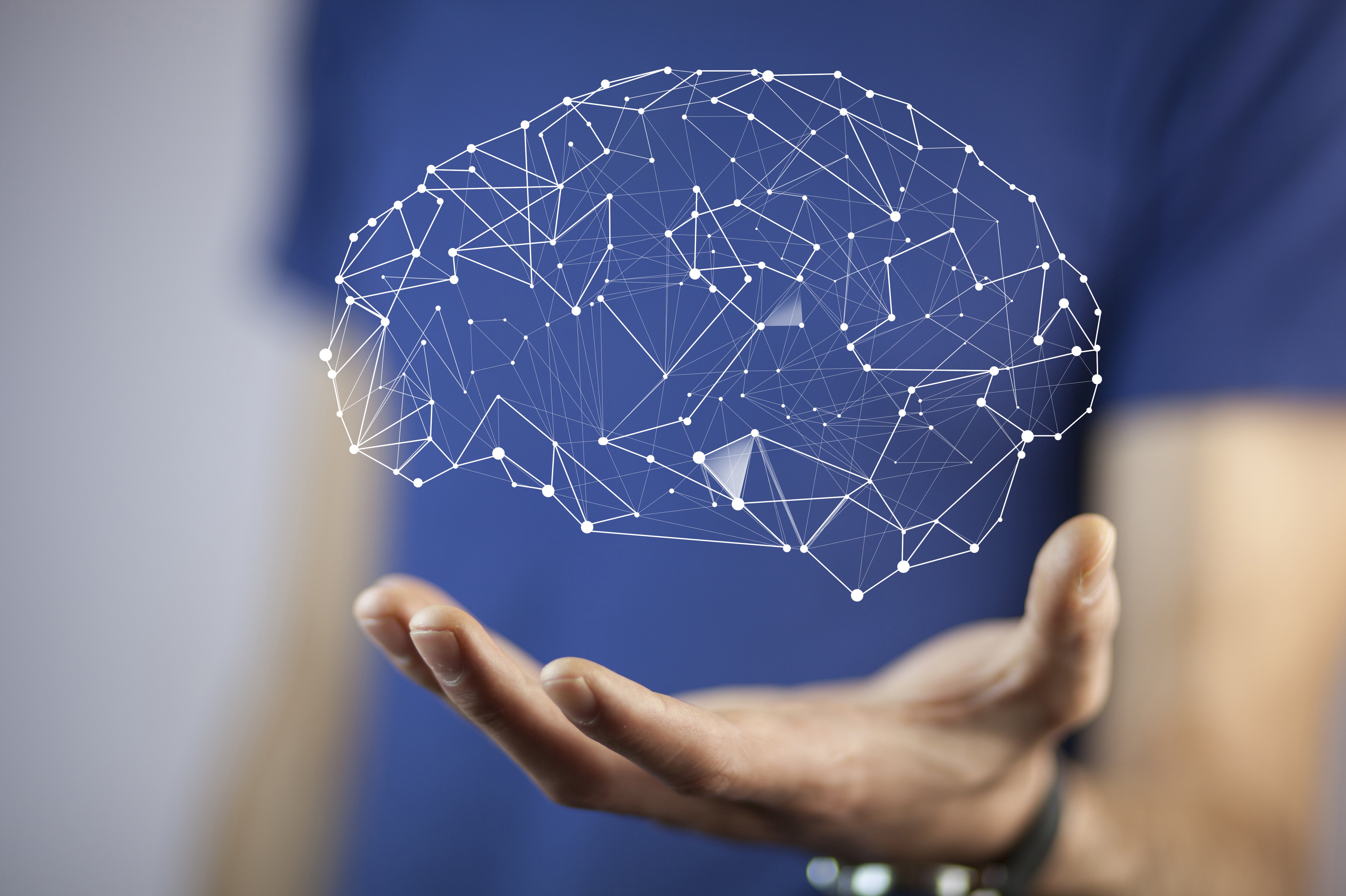 Copyright (c) 2016 Tiko Aramyan/Shutterstock