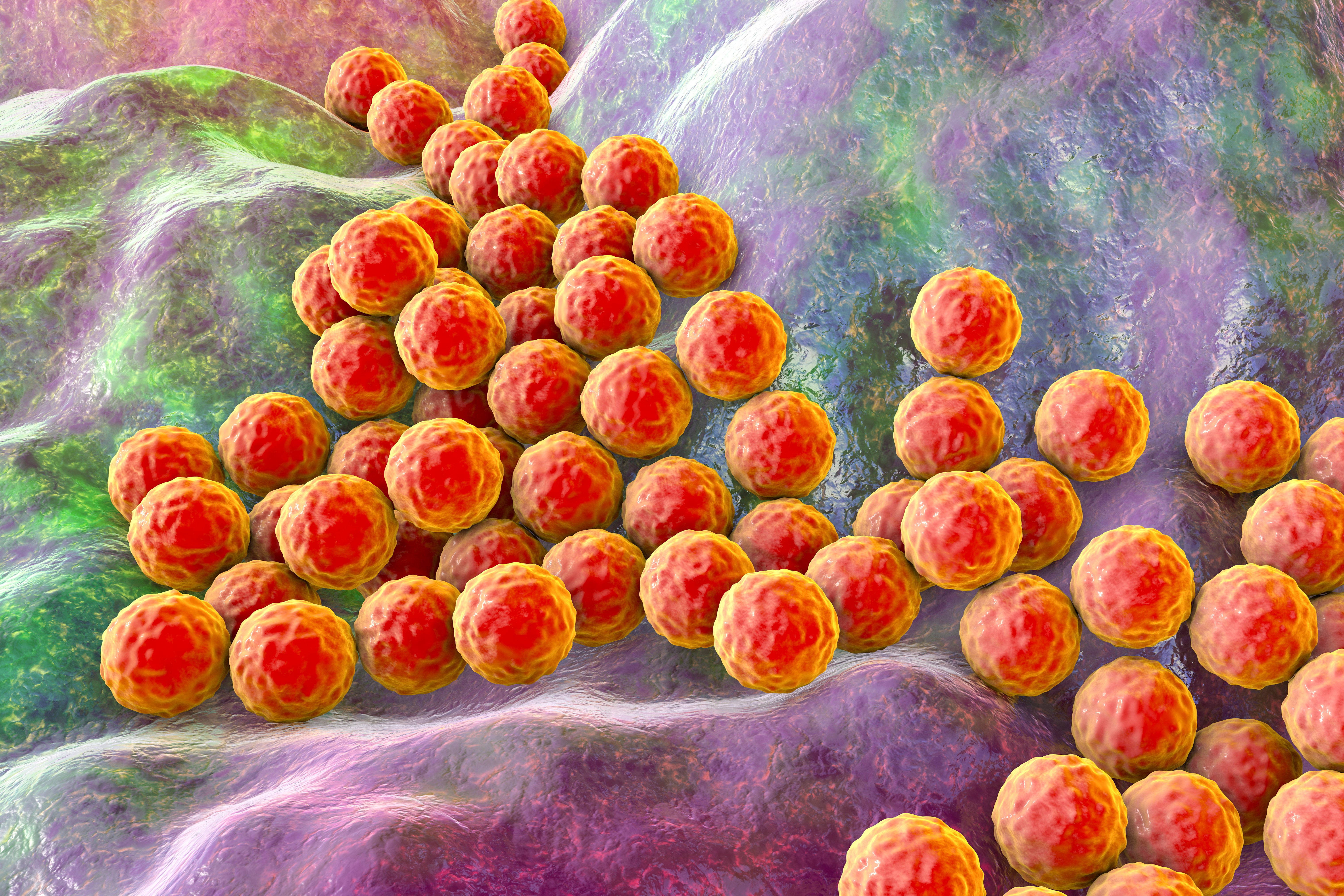 (c) 2020 Kateryna Kon/Shutterstock