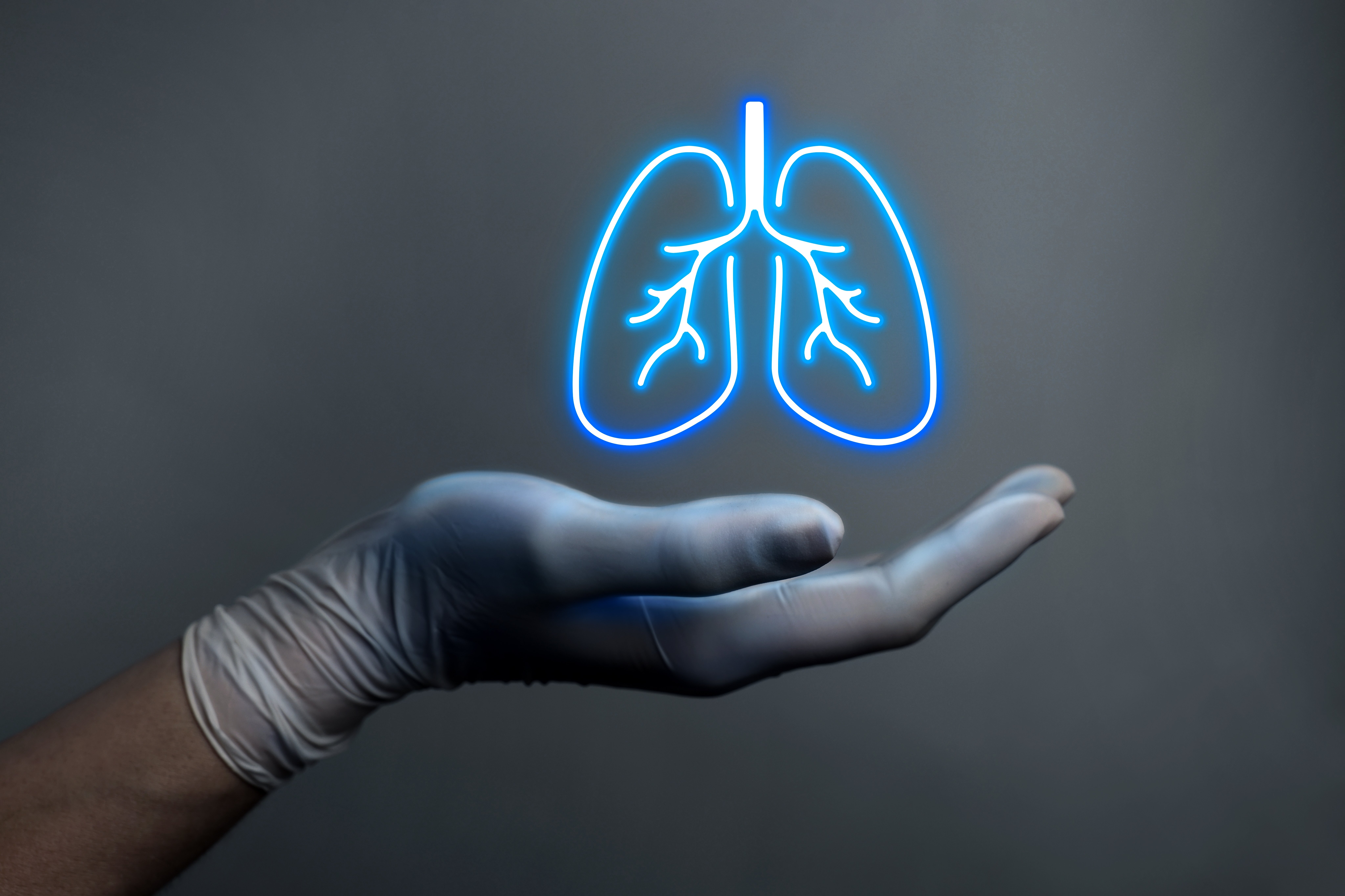 (c) 2024 New Africa/Shutterstock