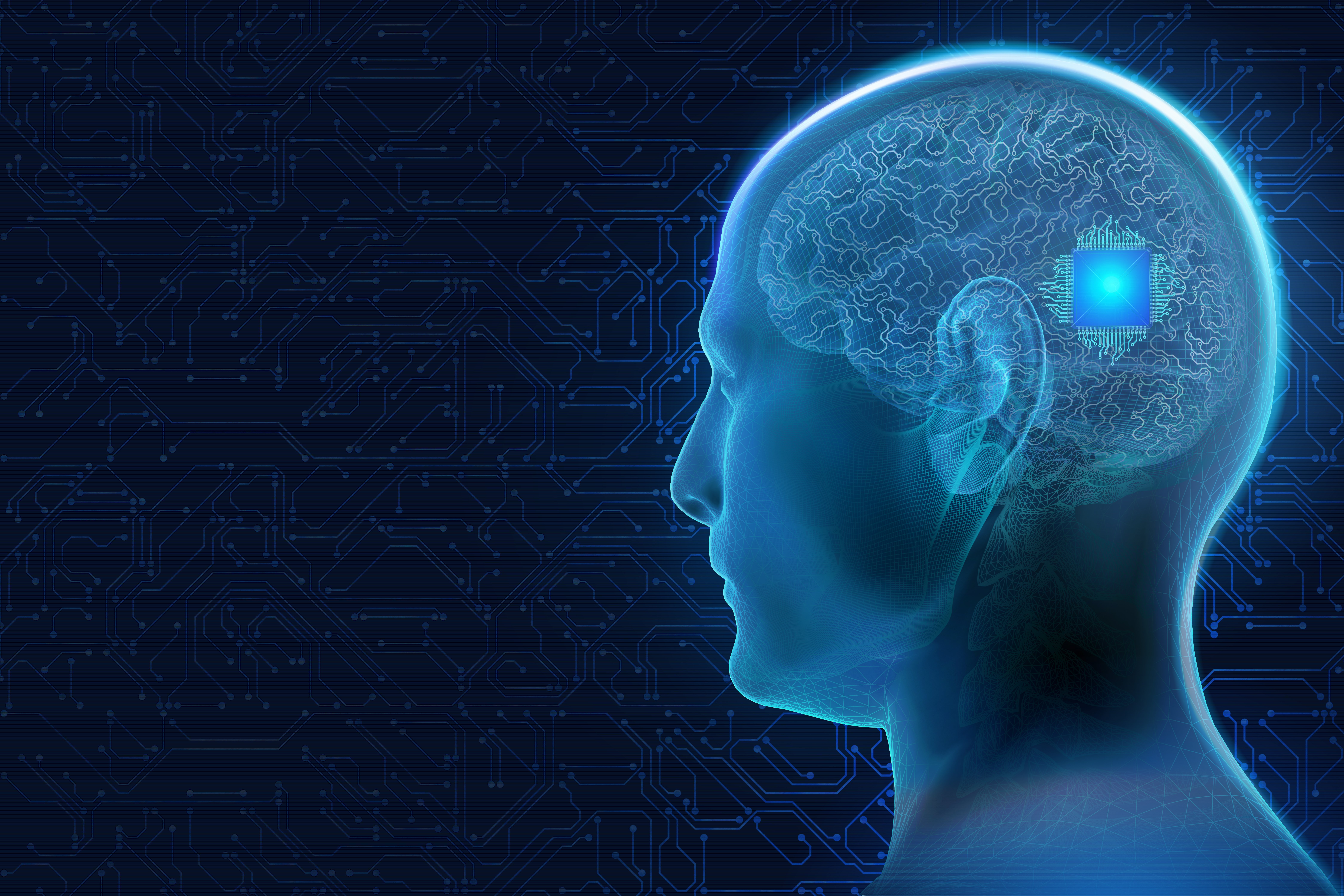 (c) 2021 Dana.S/Shutterstock