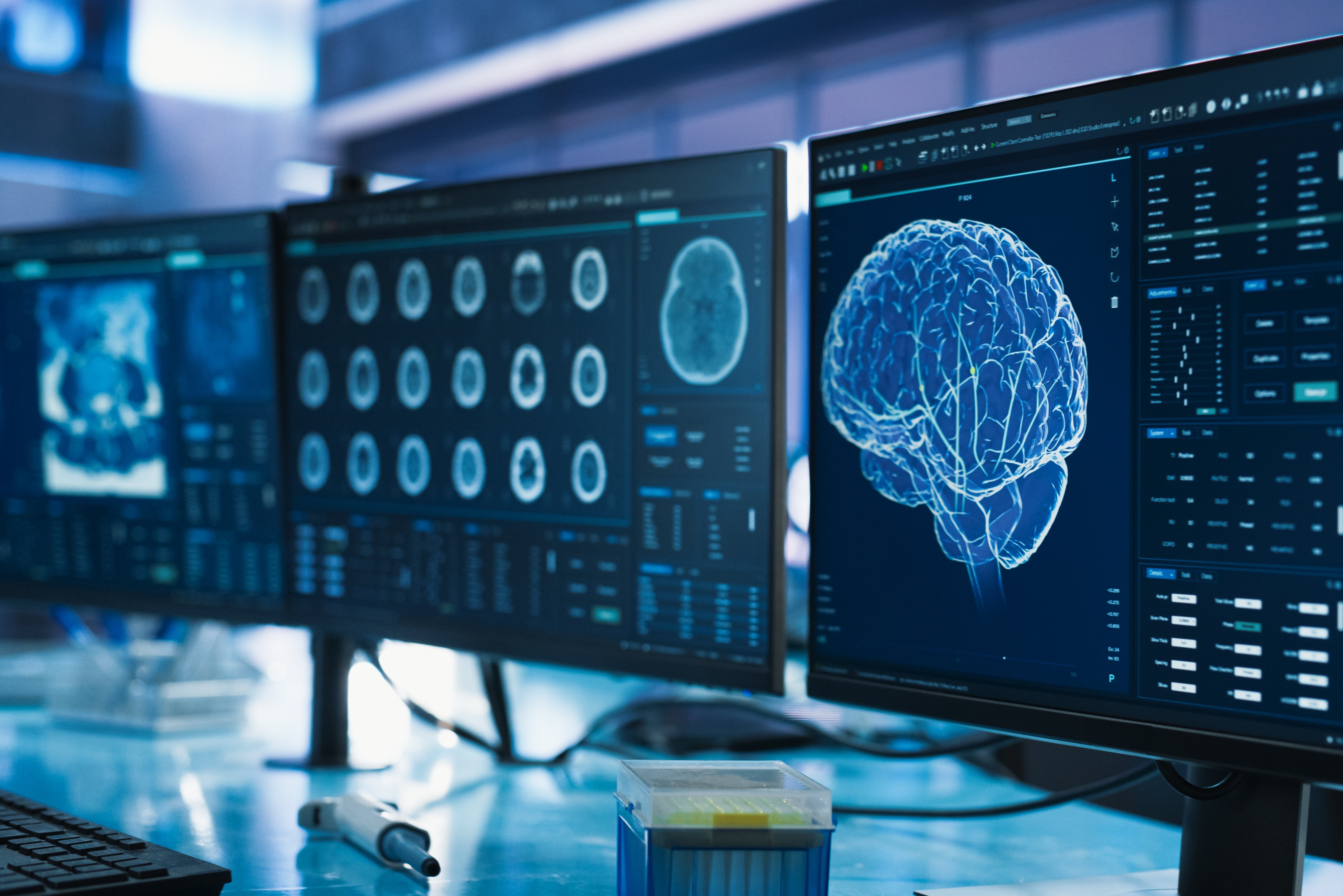 Copyright (c) 2024 Gorodenkoff/Shutterstock