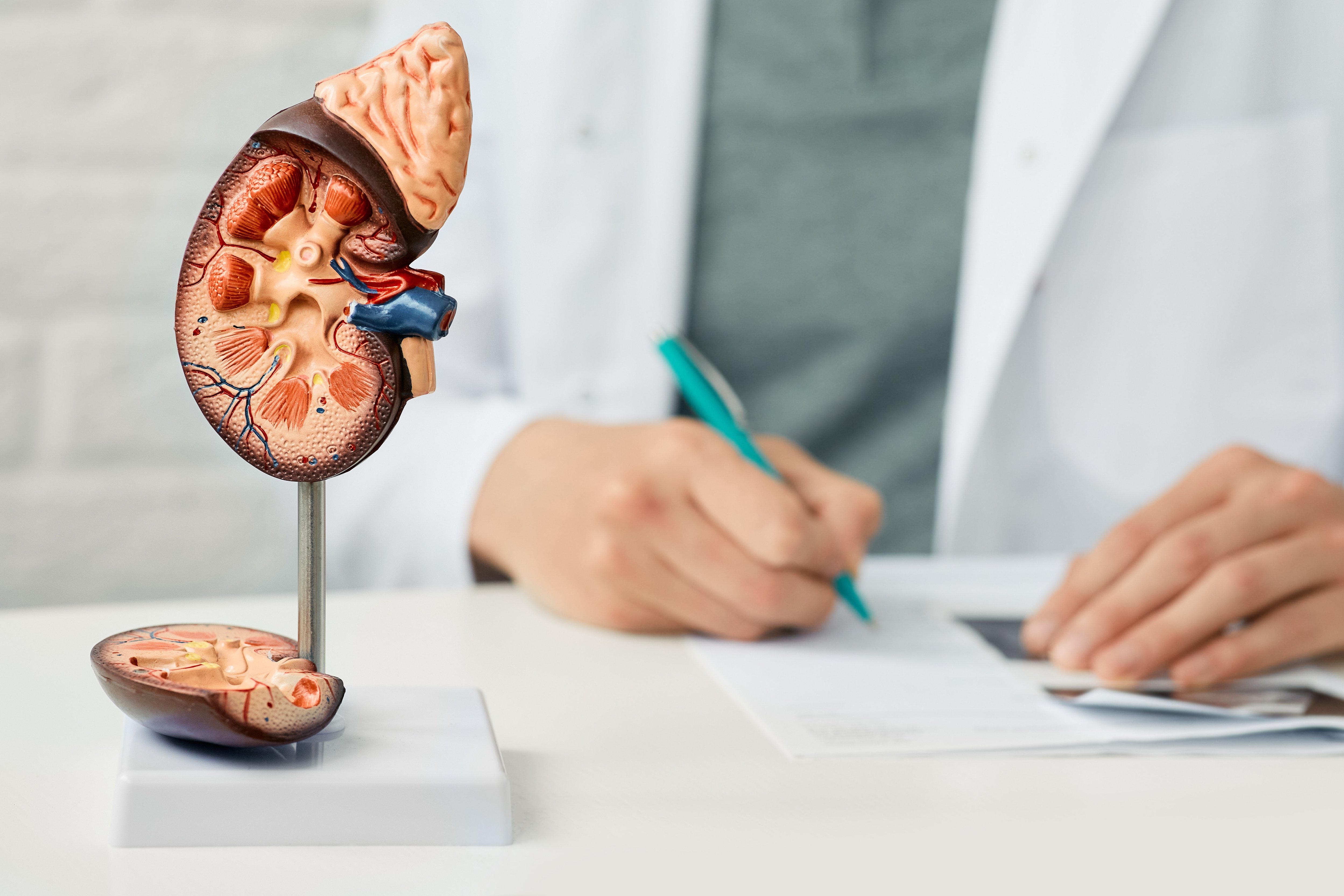 Copyright (c) 2021 Peakstock/Shutterstock