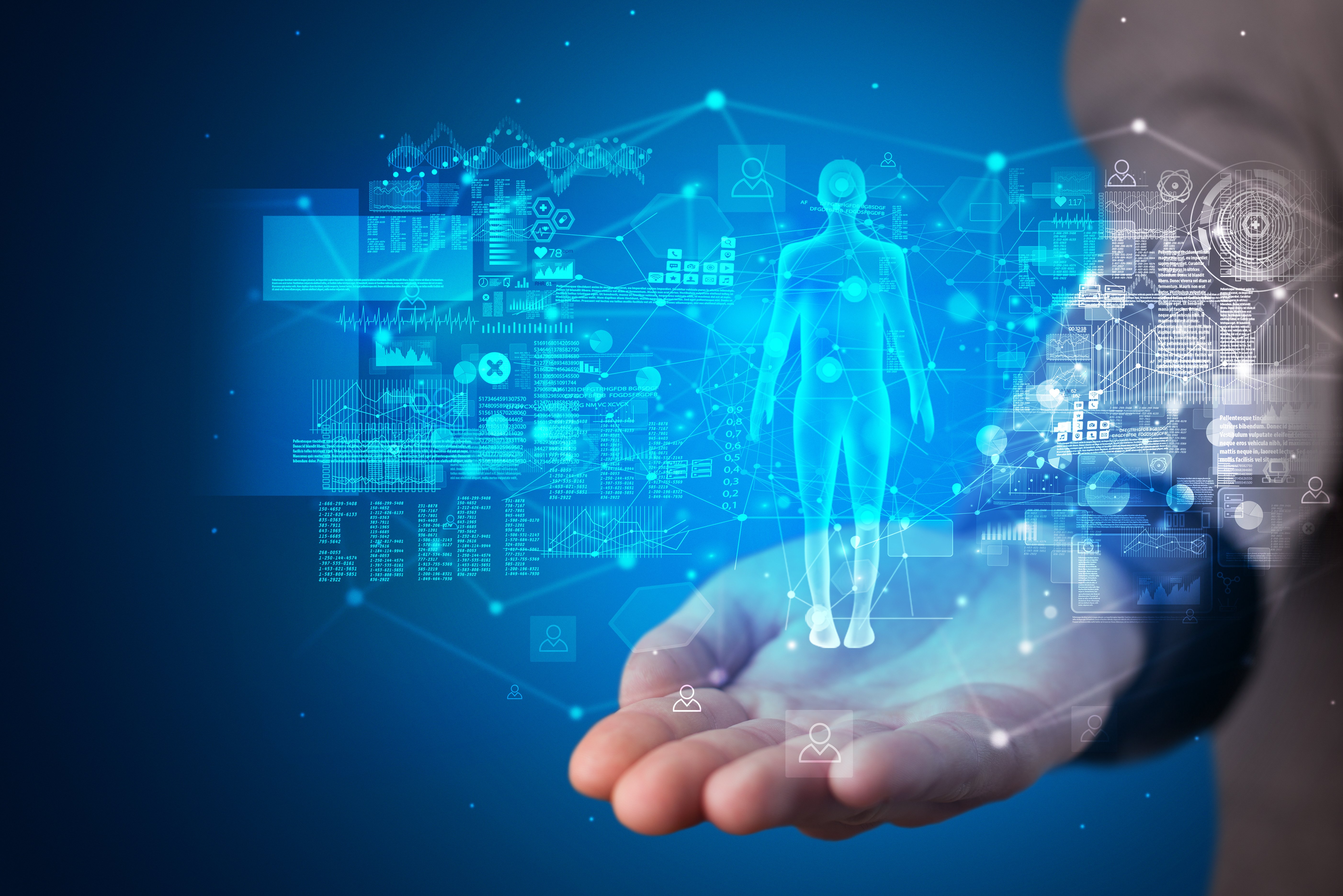 Copyright (c) 2019 ra2 studio/Shutterstock