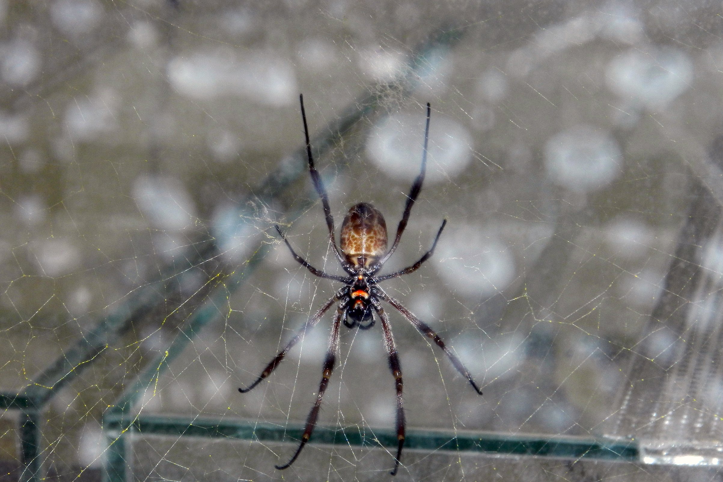 © MedUni Wien/Radtke