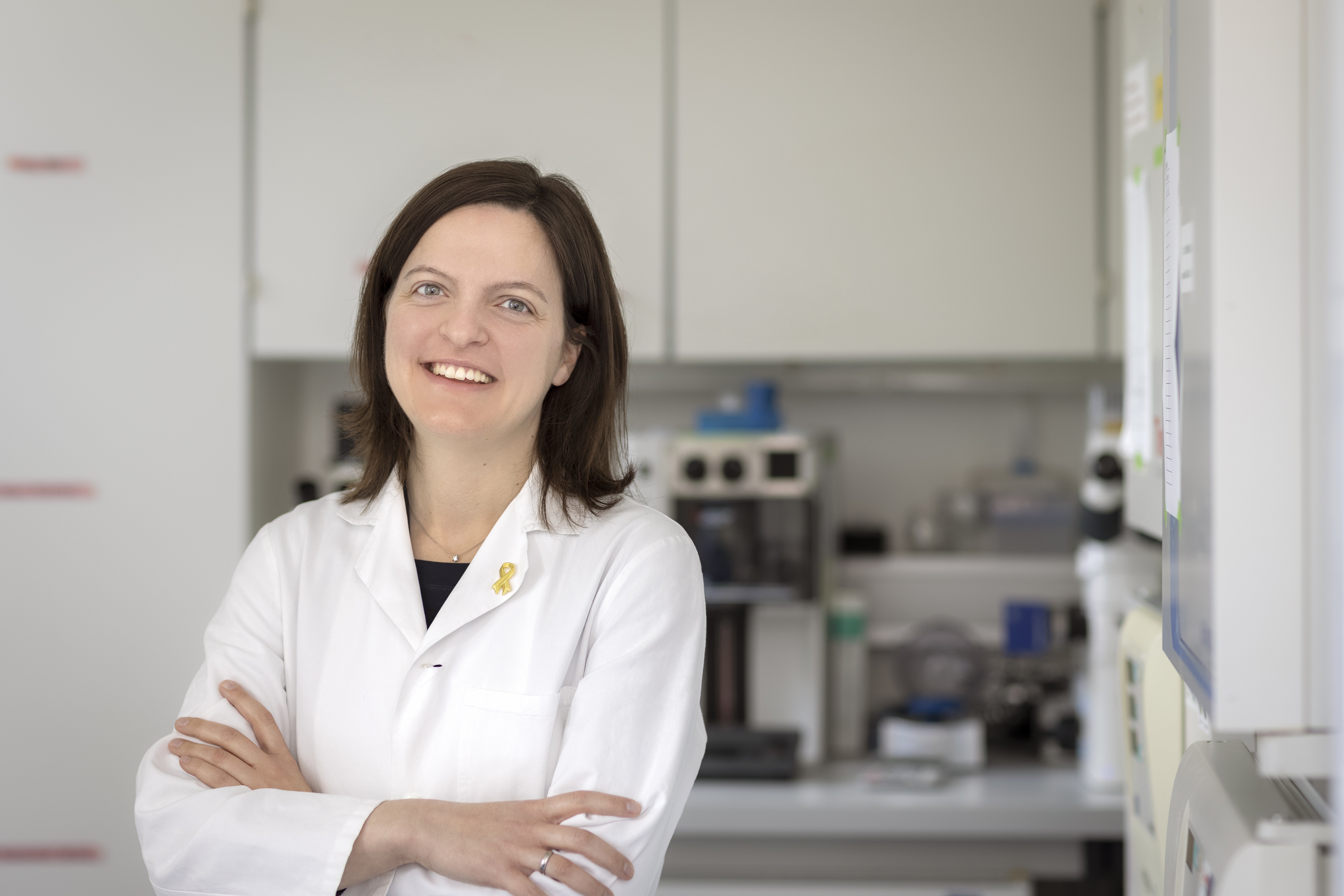 (c) Harald Eisenberger/CCRI