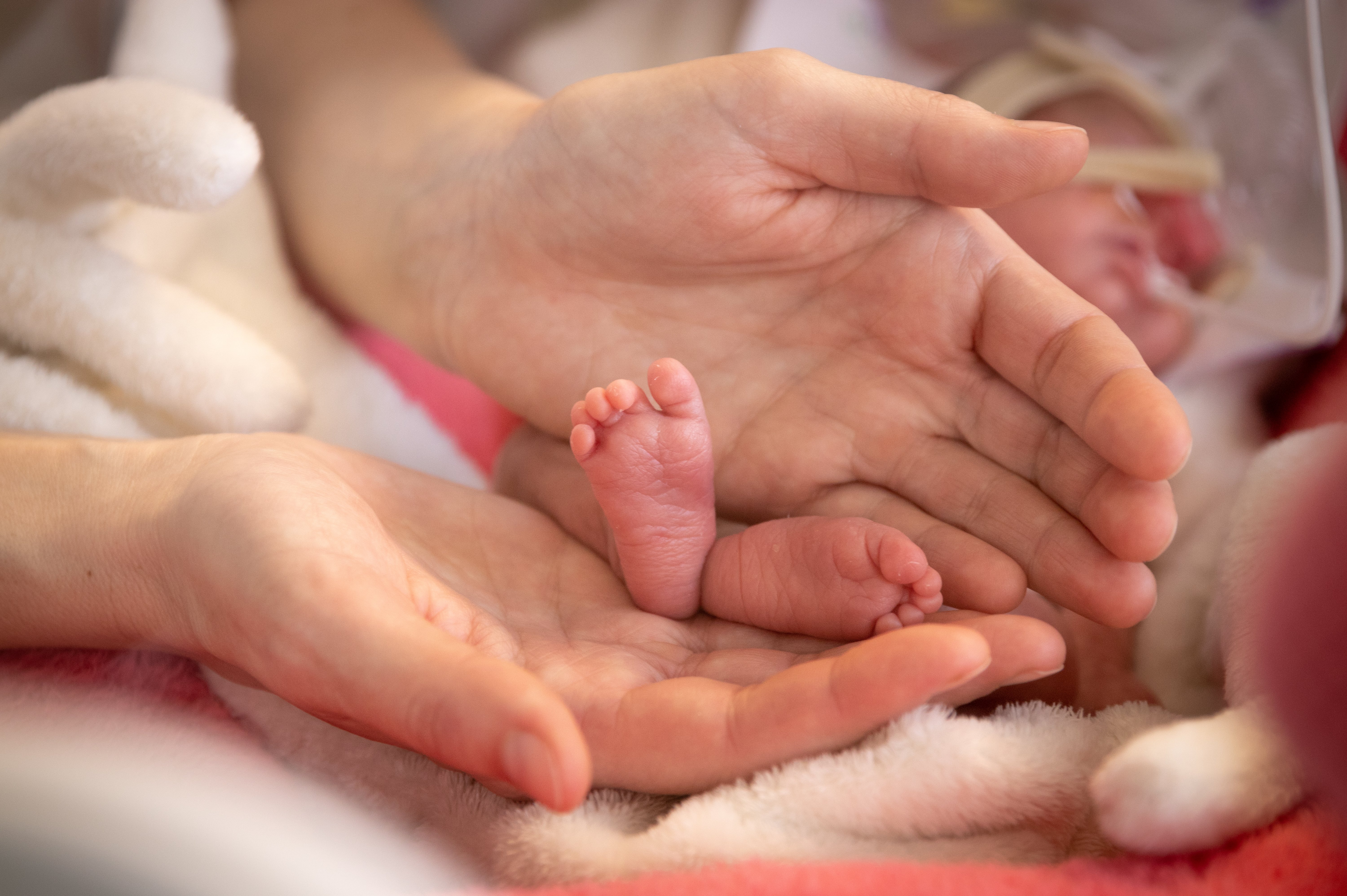 (c) 2020 peterbako/Shutterstock