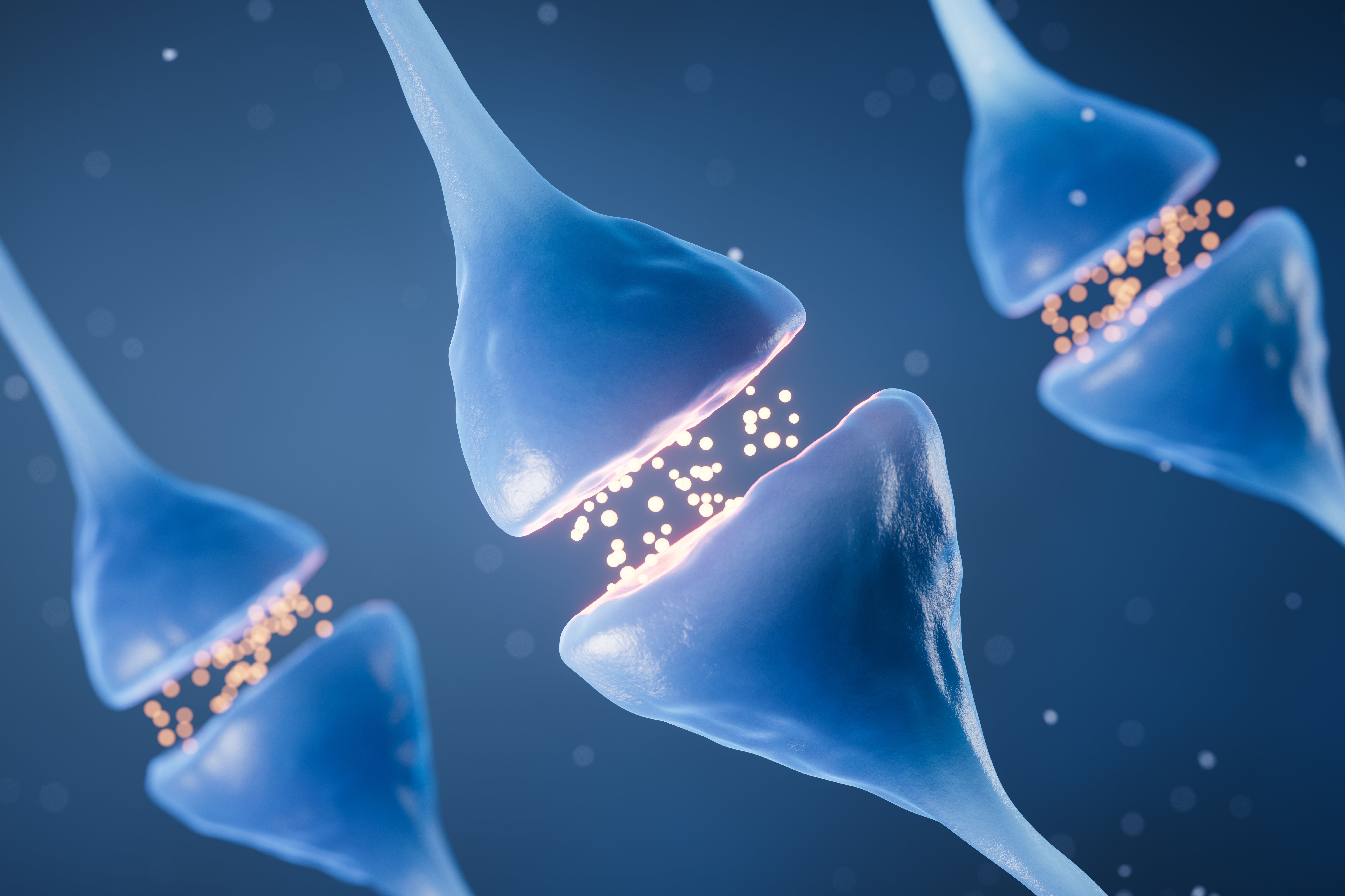 (c) 2023 Vink Fan/Shutterstock