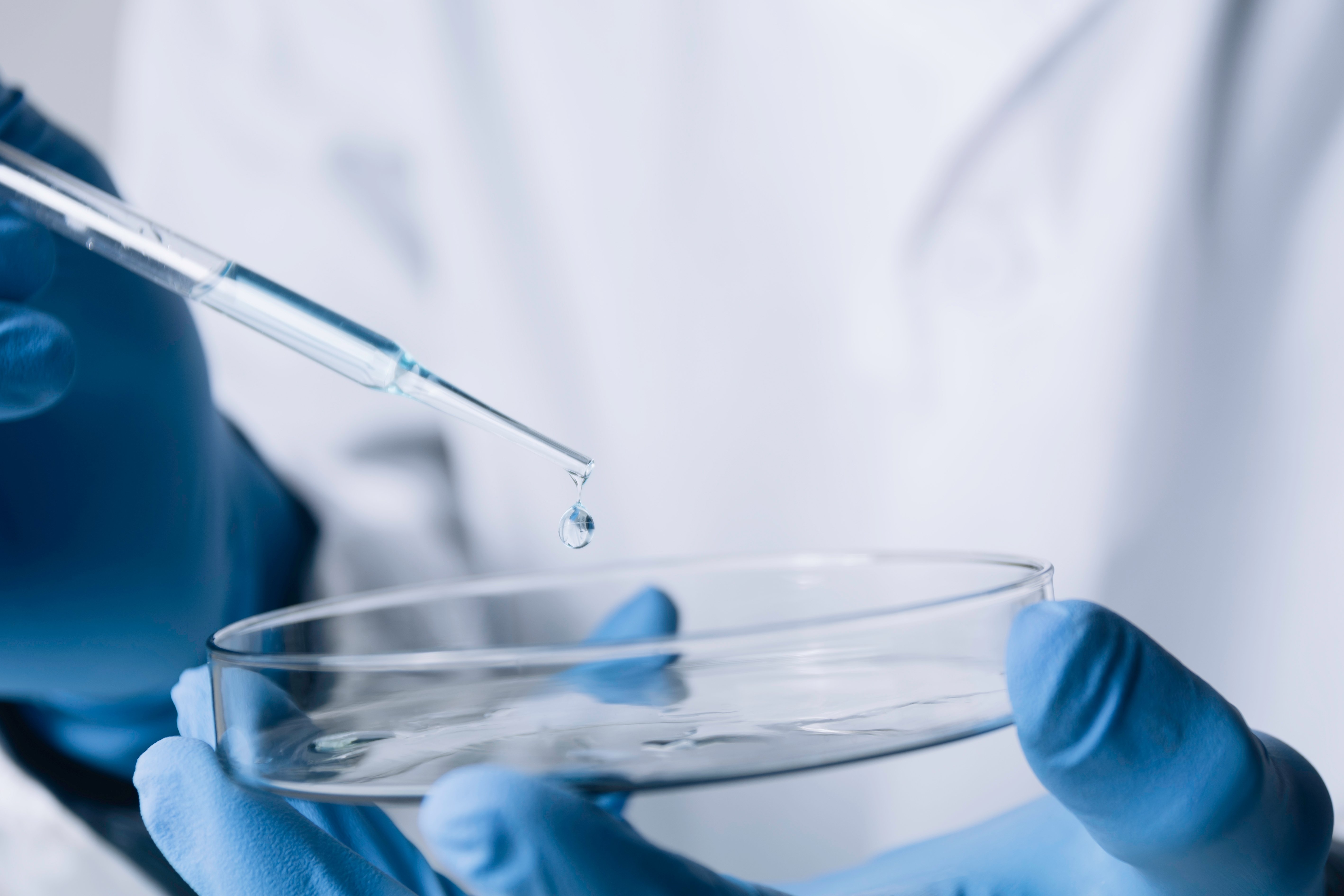 (c) 2022 Krisana Antharith/Shutterstock