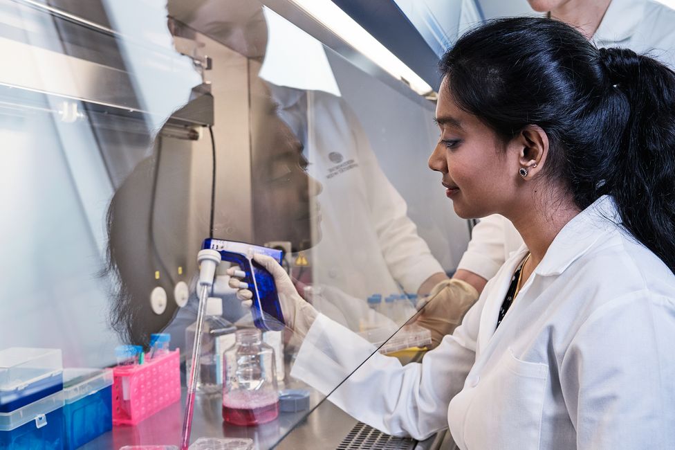 Medizinische Forschung | Labor | © MedUni Wien, Mark Glassner