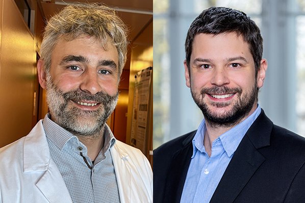 Bild: Ivo Rausch bzw. MedUni Wien/feelimage