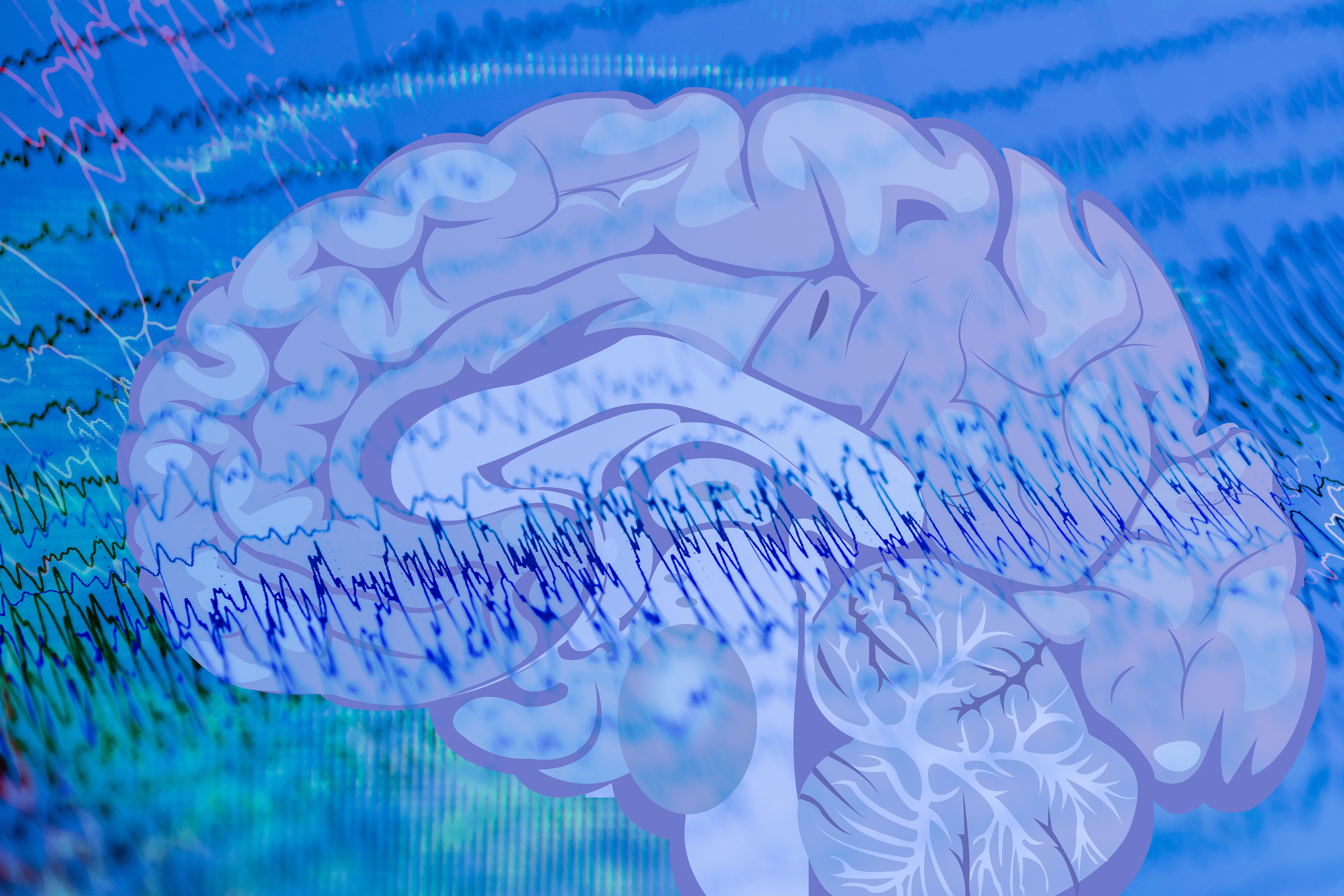 (c) 2017 Chaikom/Shutterstock