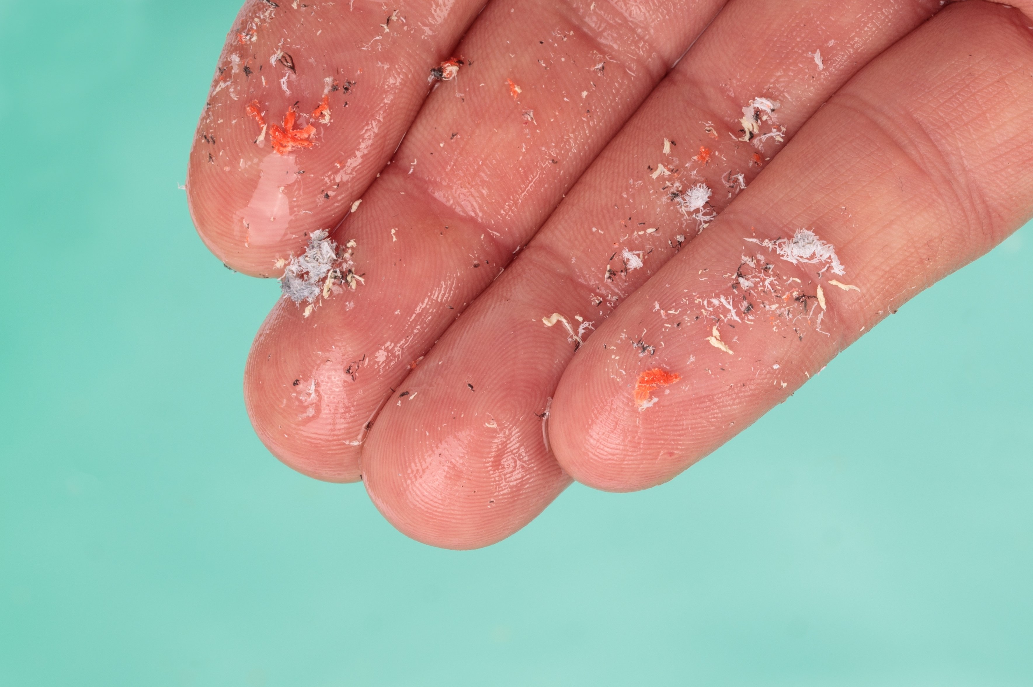 (c) 2022 Wirestock Creators/Shutterstock