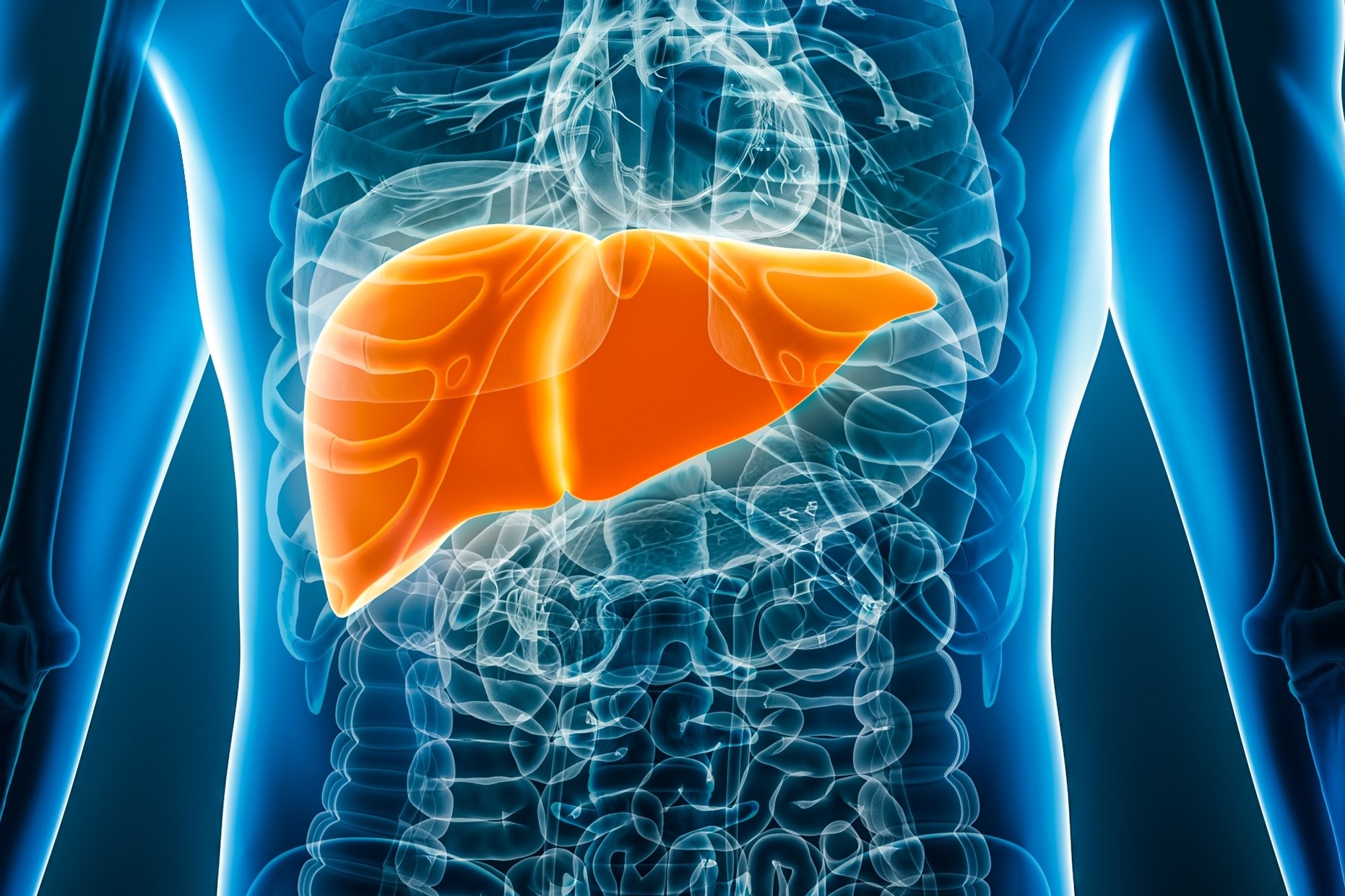 Copyright (c) 2023 MattL_Images/Shutterstock