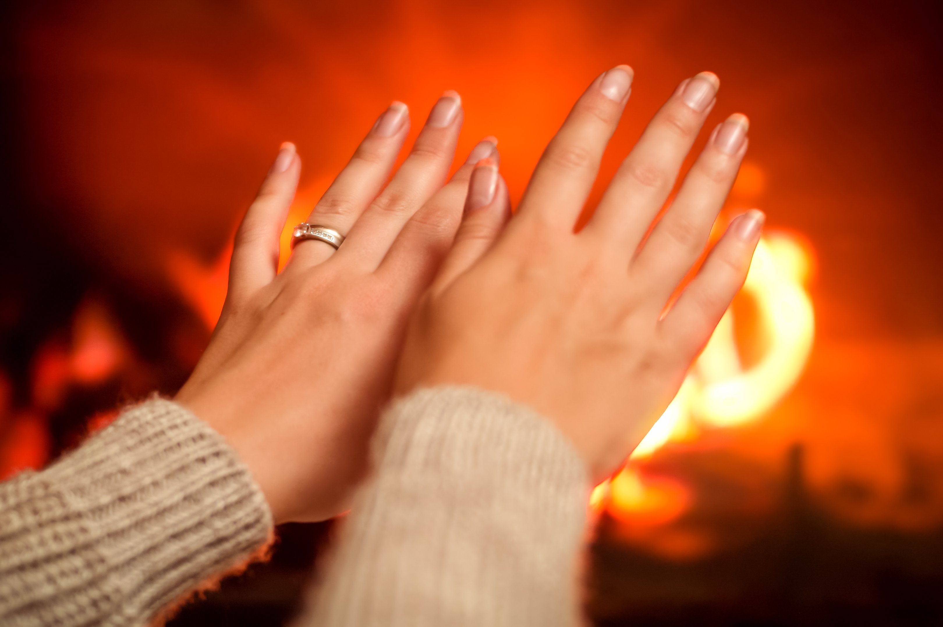 Copyright (c) 2019 kryzhov/Shutterstock