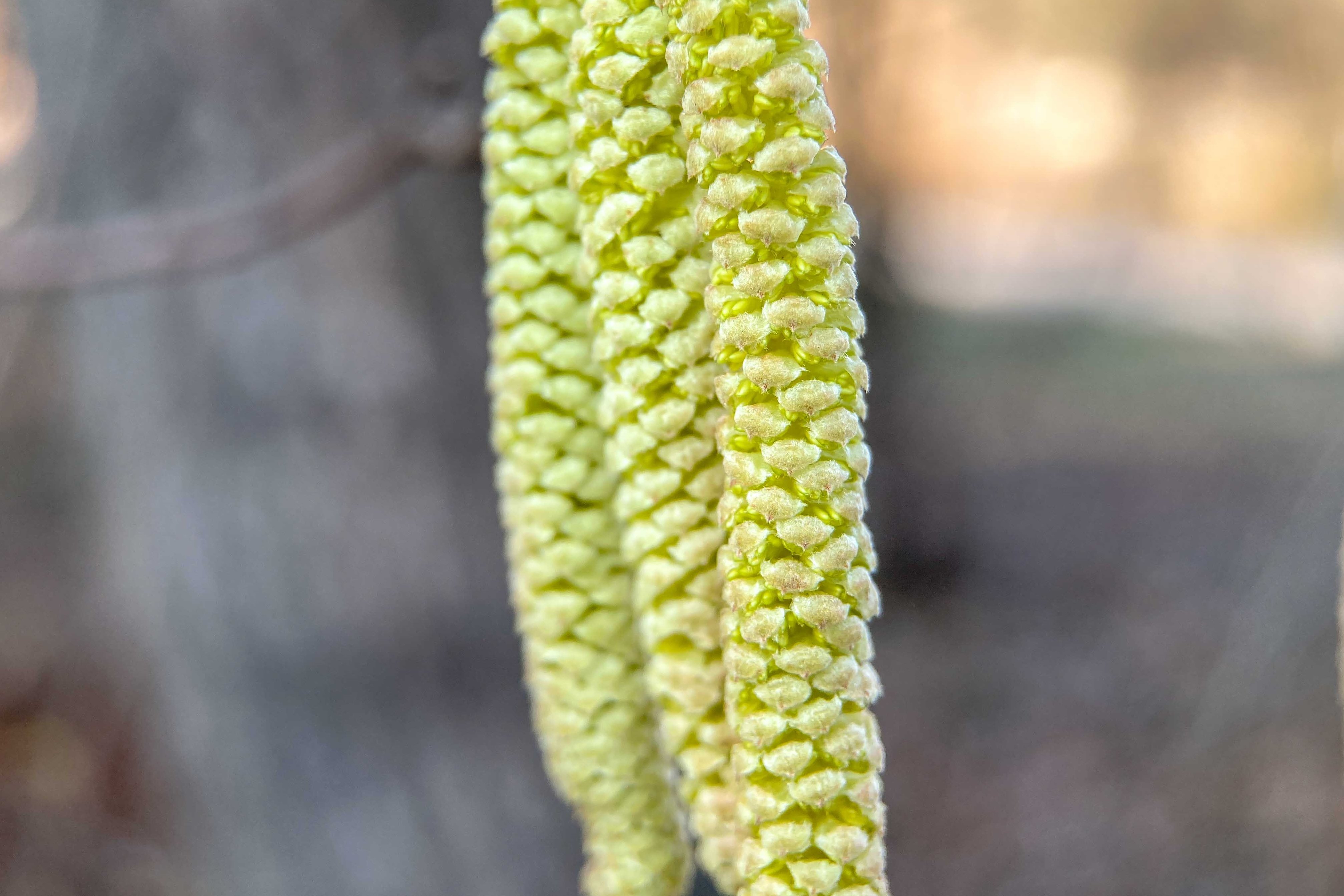 Bild: MedUni Wien/Bastl