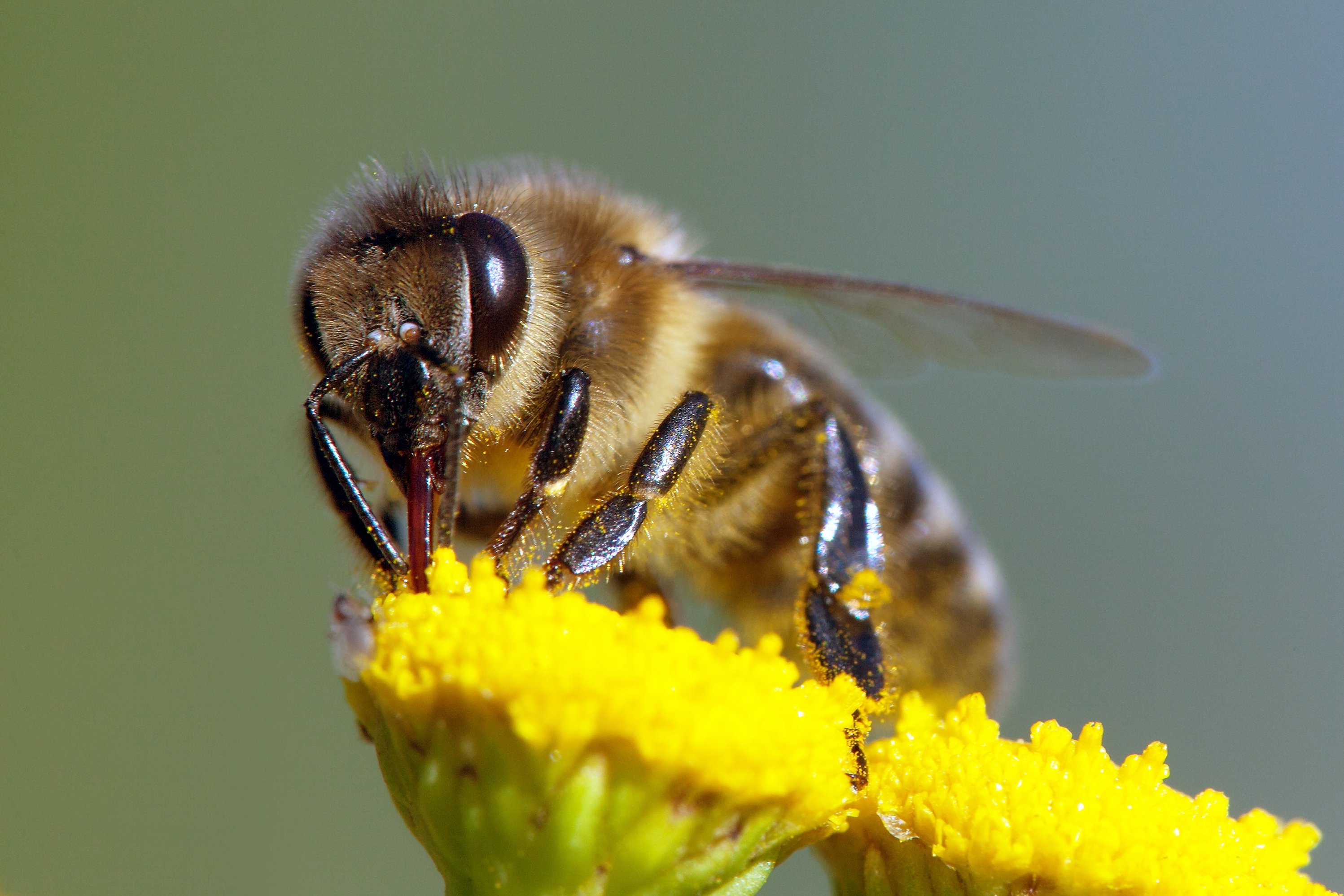 Copyright (c) 2017 Daniel Prudek/Shutterstock