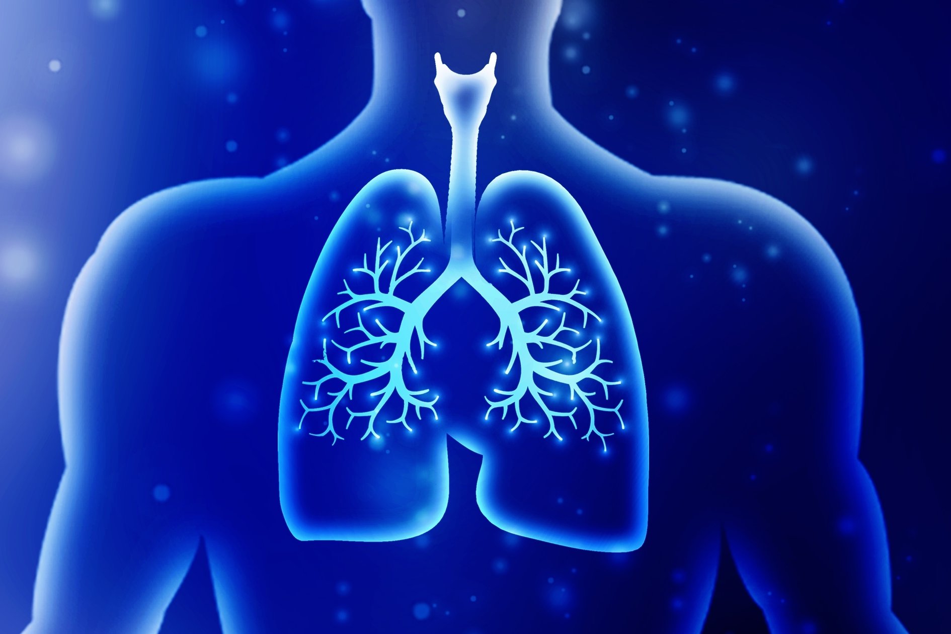 Copyright (c) 2024 jijomathaidesigners/Shutterstock