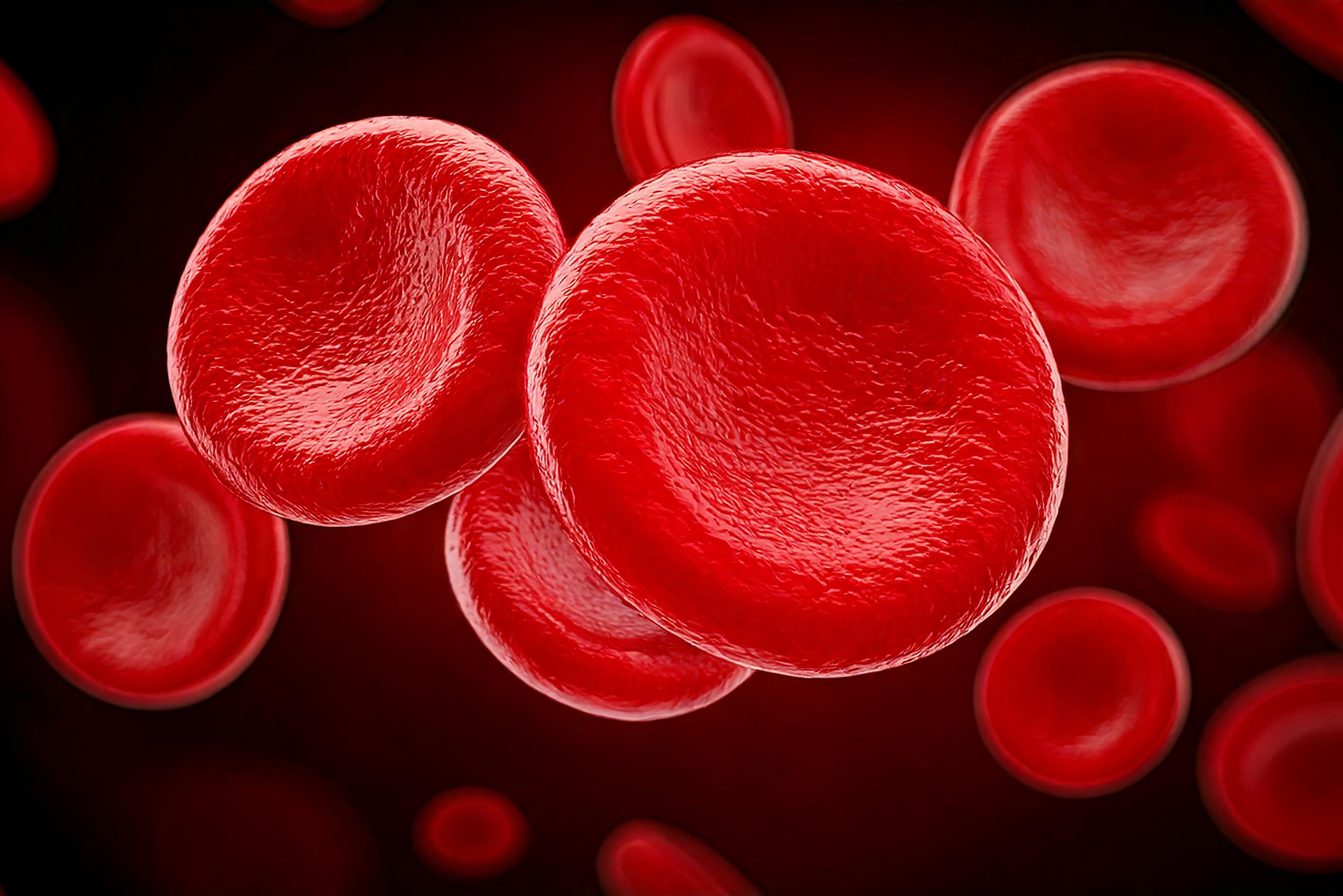 Copyright (c) 2024 Suan Taang/Shutterstock