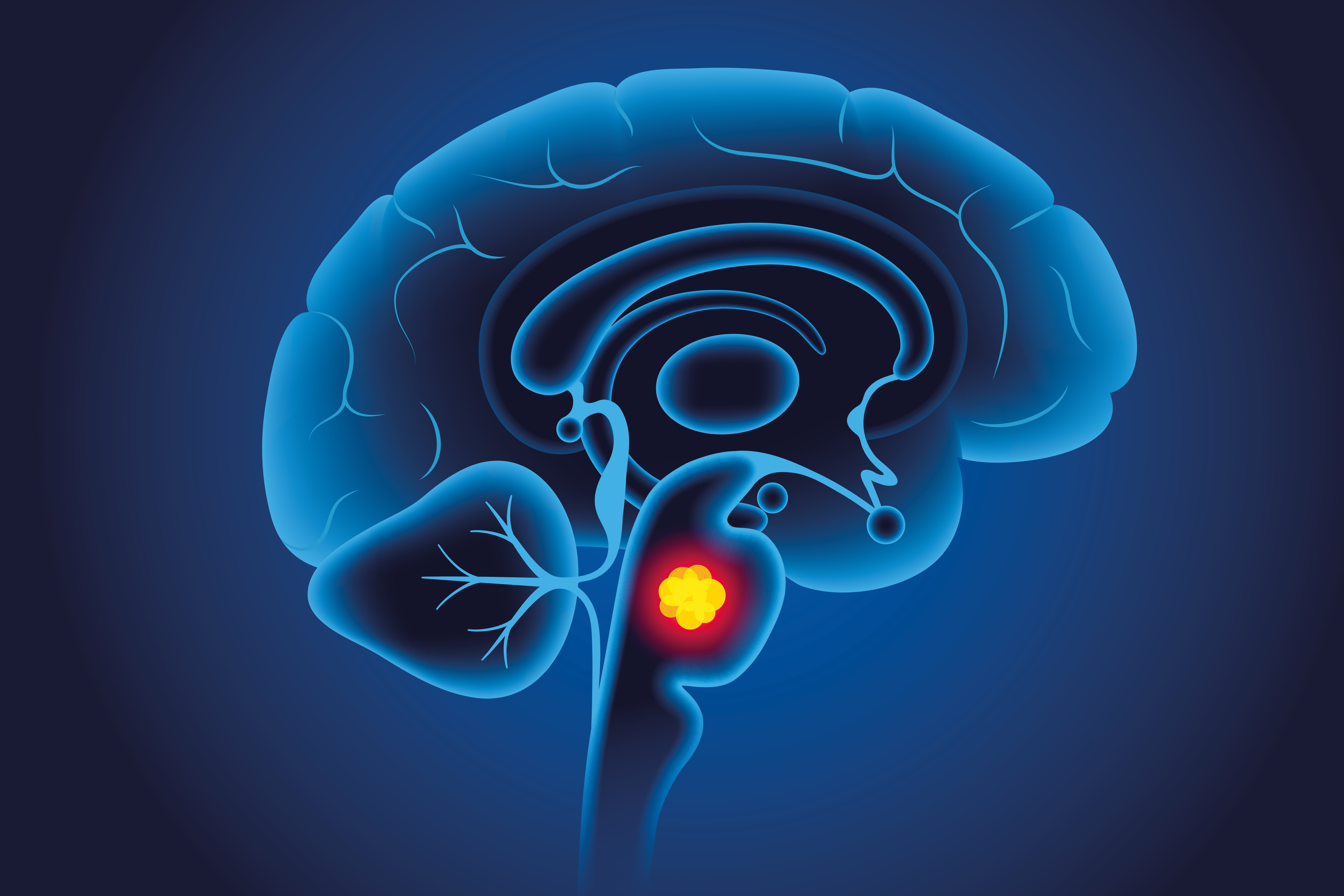 Copyright: Shutterstock