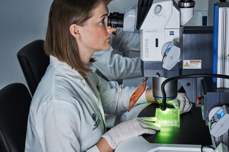 Medizinische Forschung | Mikroskopie | © MedUni Wien, Mark Glassner