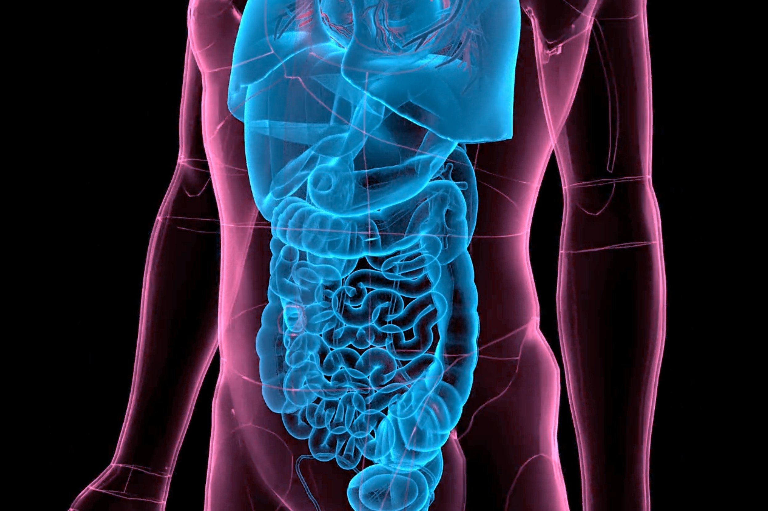 Copyright (c) 2024 Shot4Sell/Shutterstock