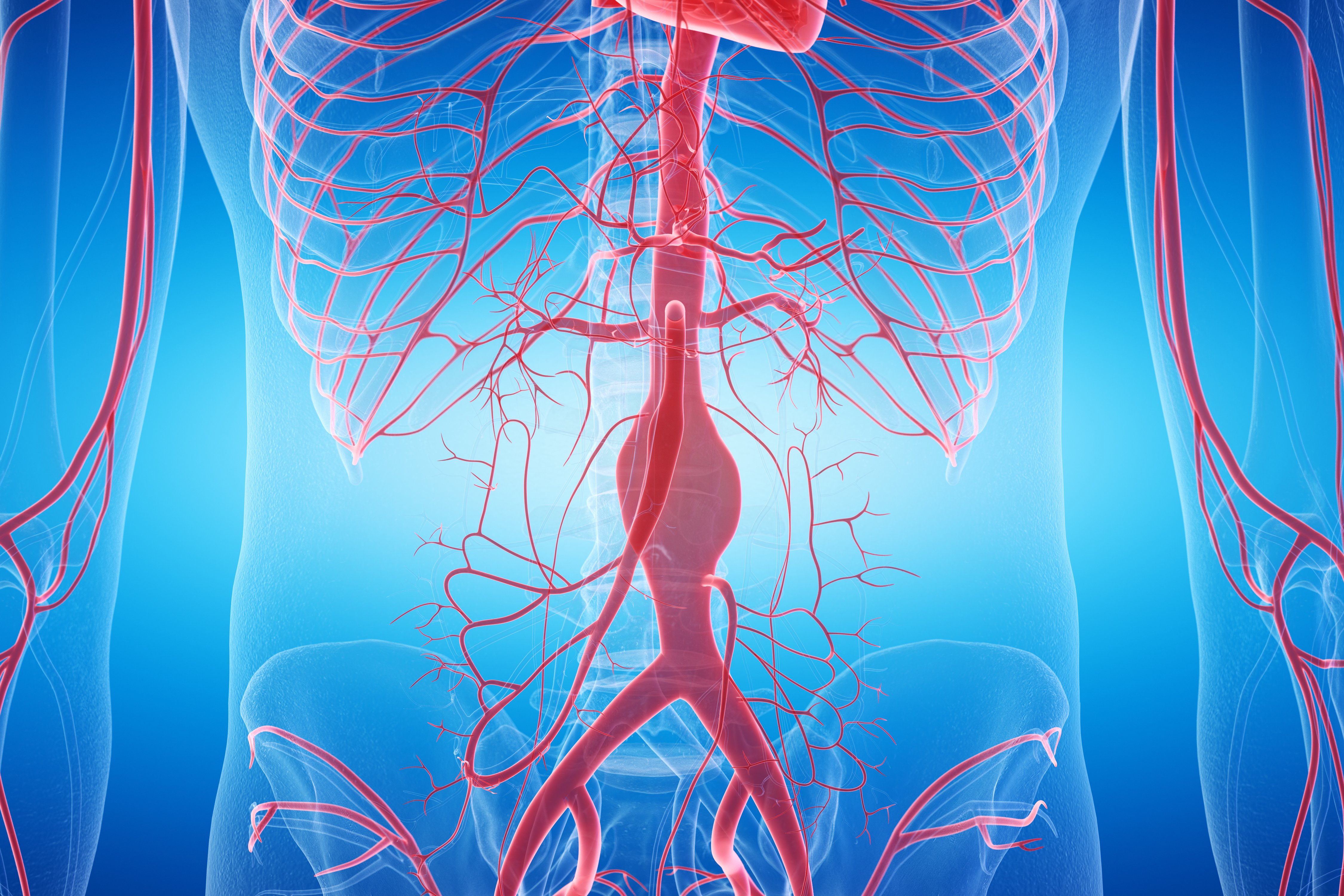 Copyright (c) 2019 SciePro/Shutterstock