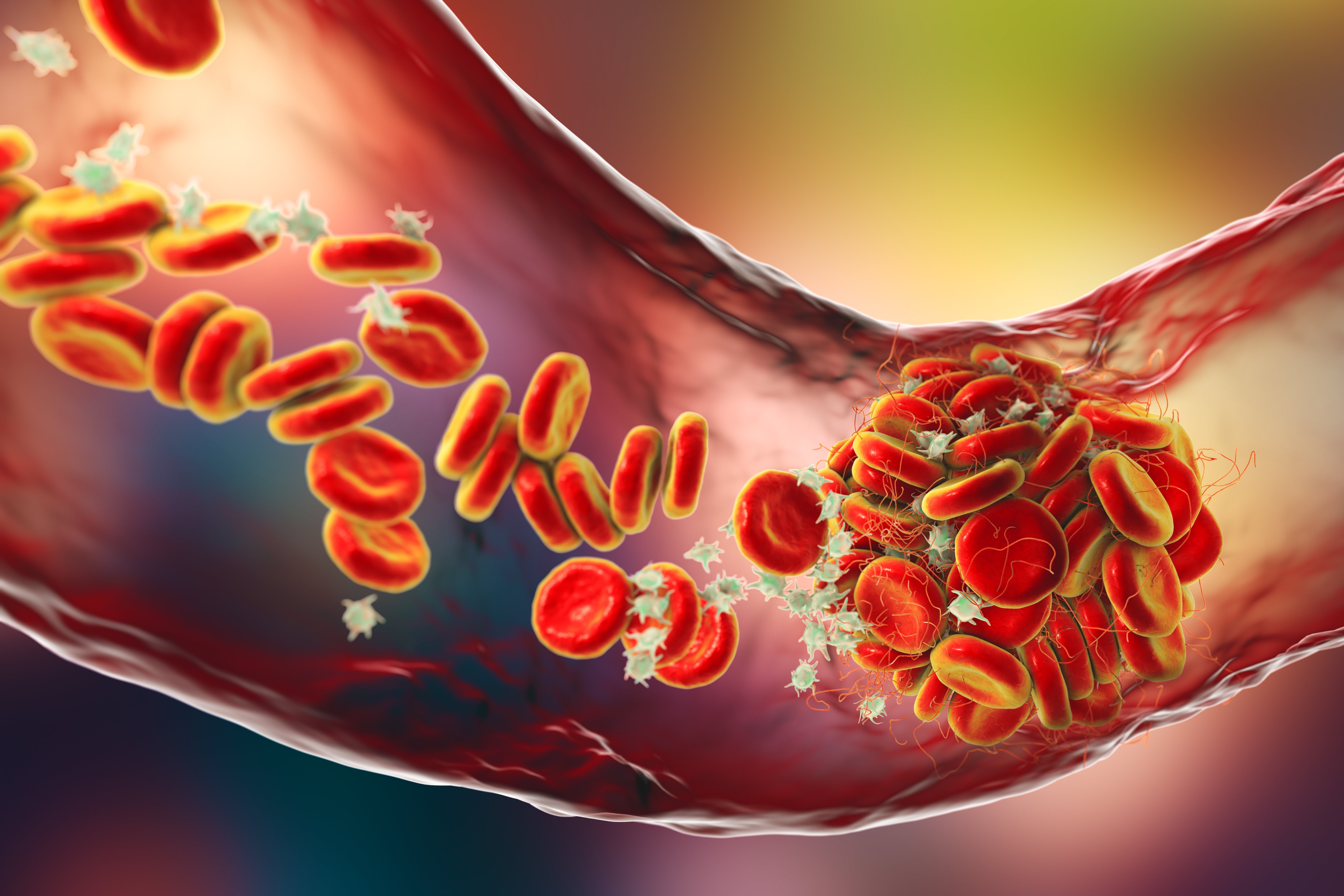 (c) 2021 Kateryna Kon/Shutterstock