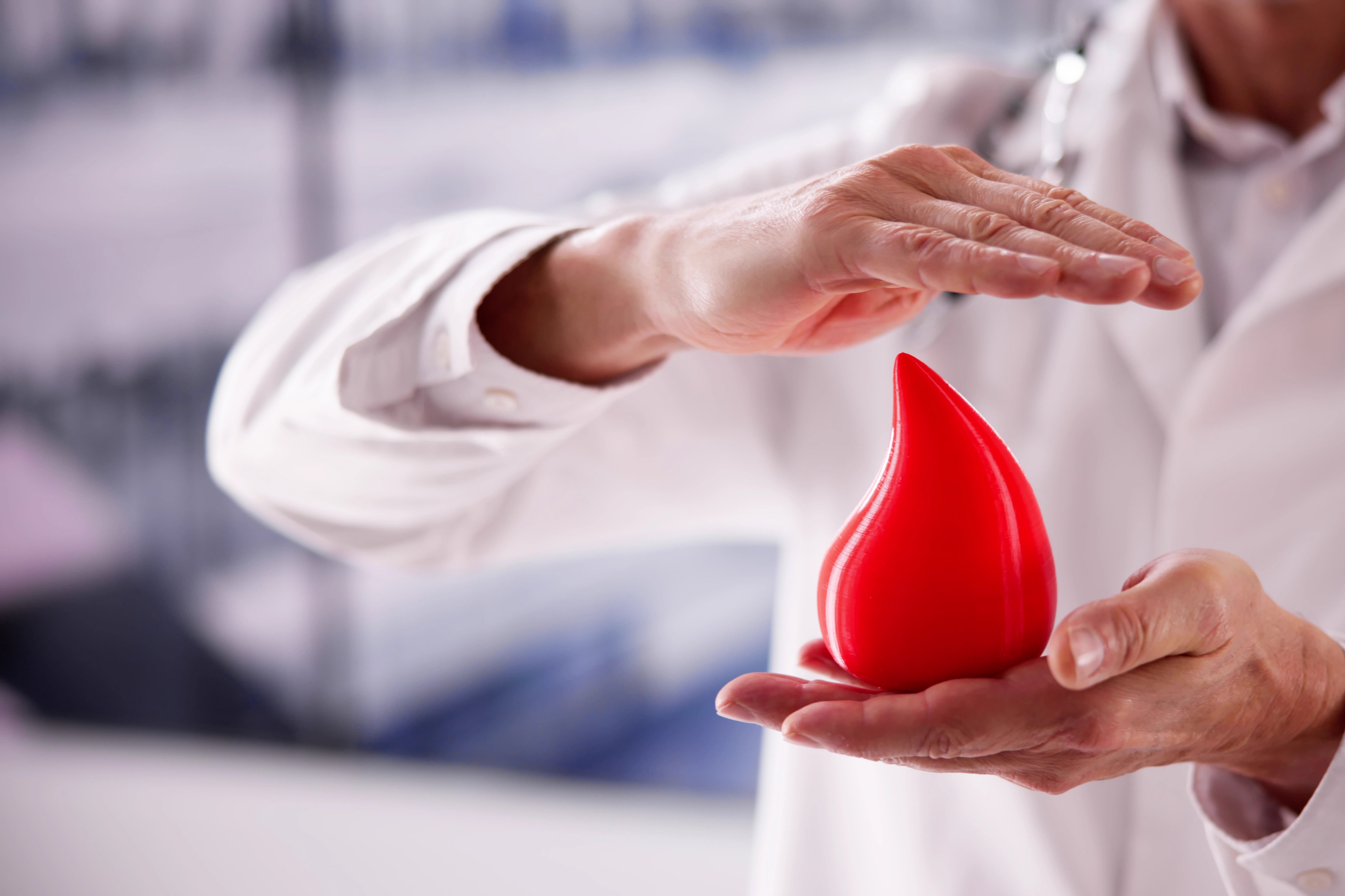 Copyright (c) 2024 Andrey_Popov/Shutterstock