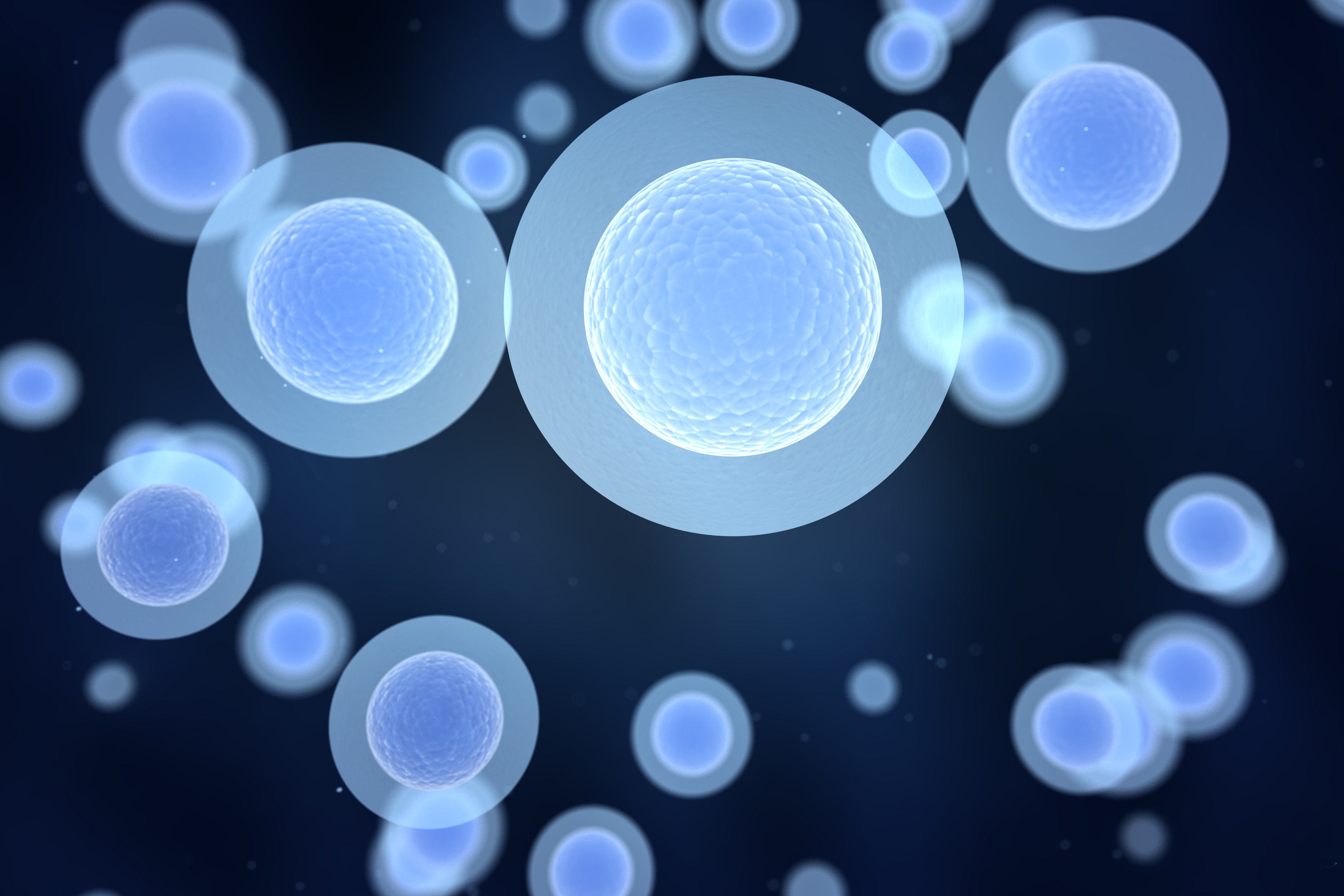 (c) 2013 Jezper/Shutterstock