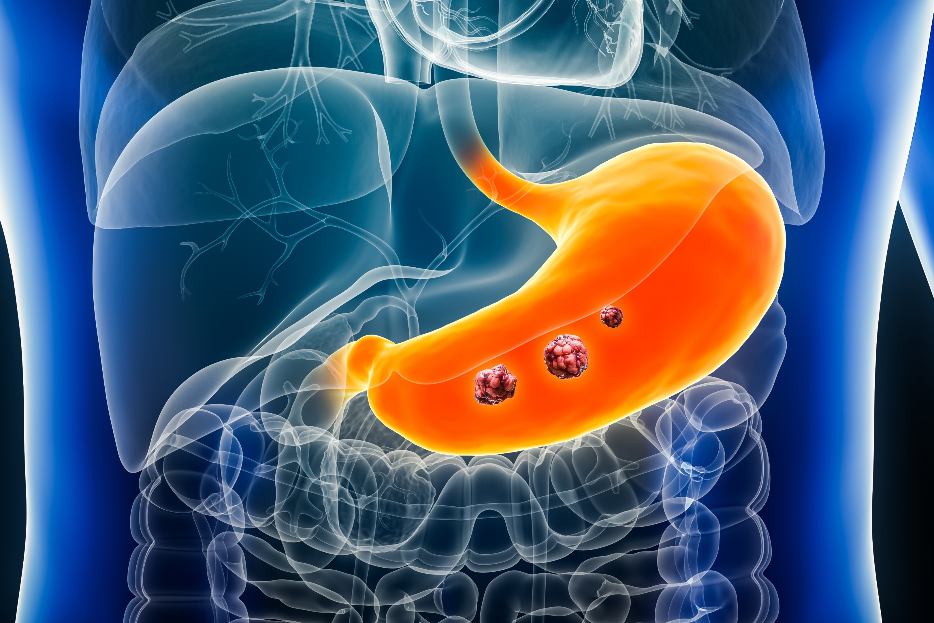 (c) 2023 MattL_Images/Shutterstock