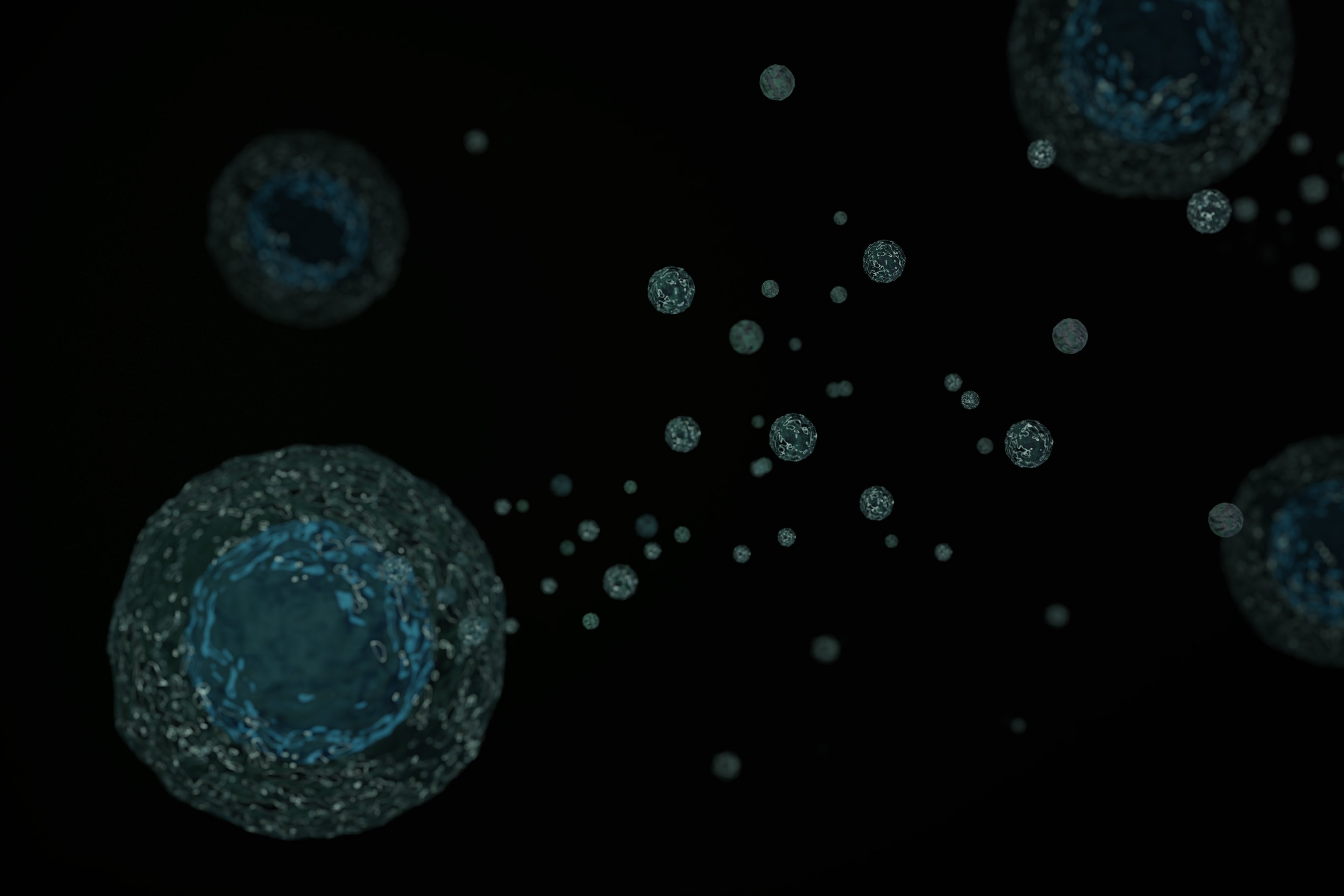 (c) 2024 KwangSoo Kim/Shutterstock