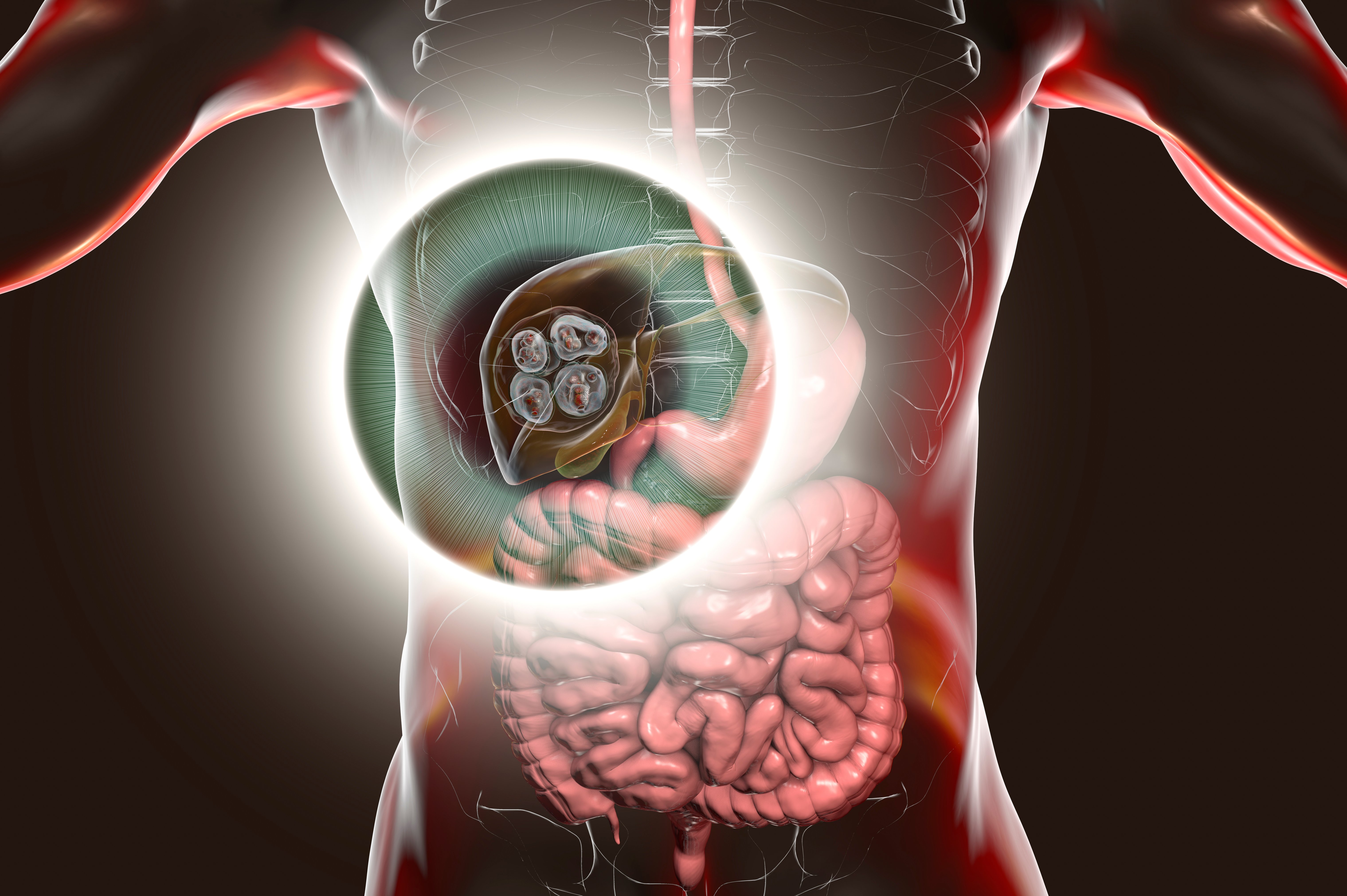 (c) 2020 Kateryna Kon/Shutterstock