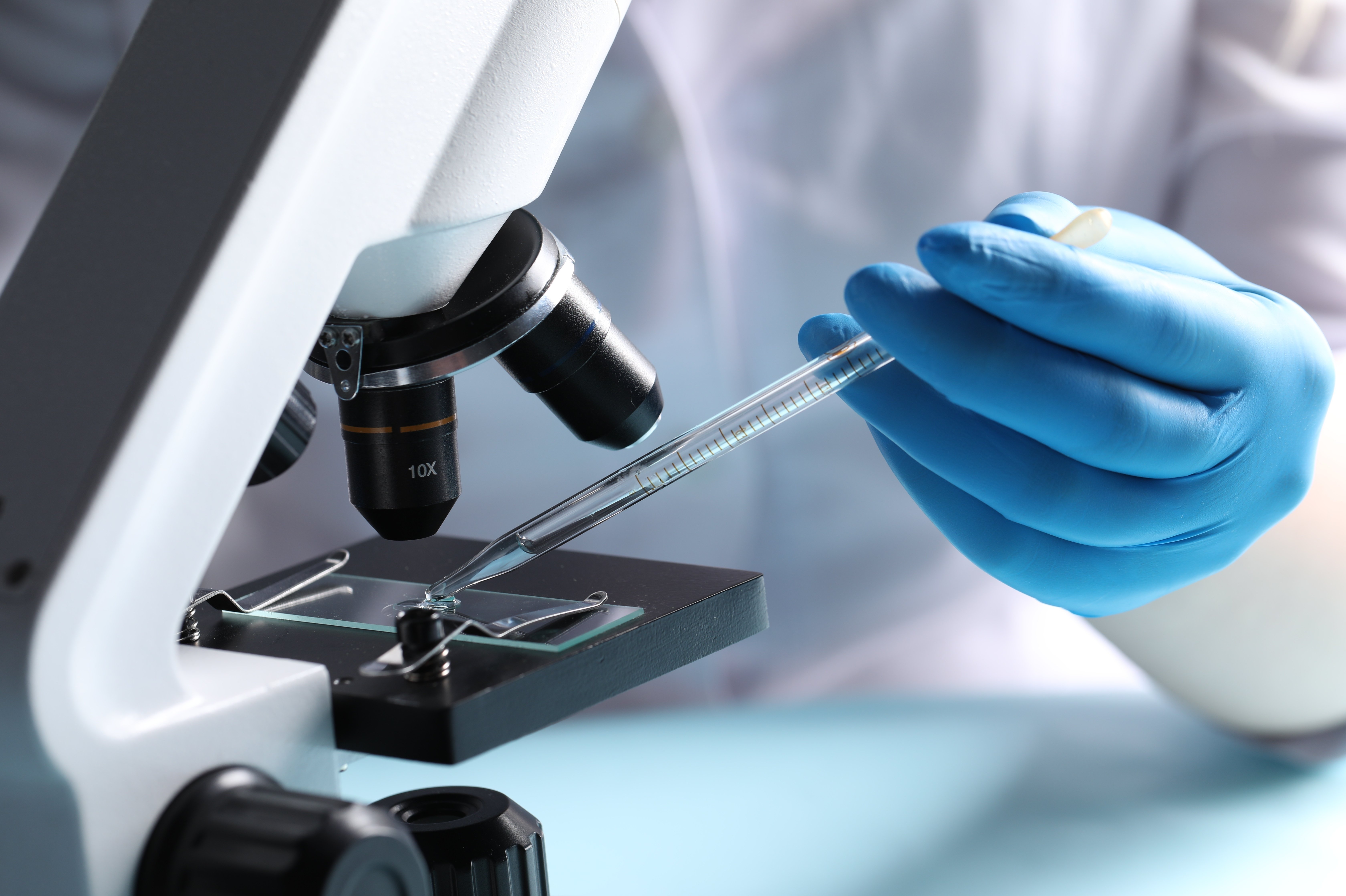 (c) 2024 New Africa/Shutterstock