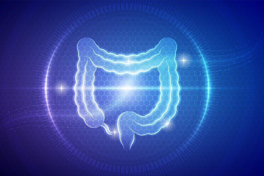 shutterstock.com/ShannonChocolate