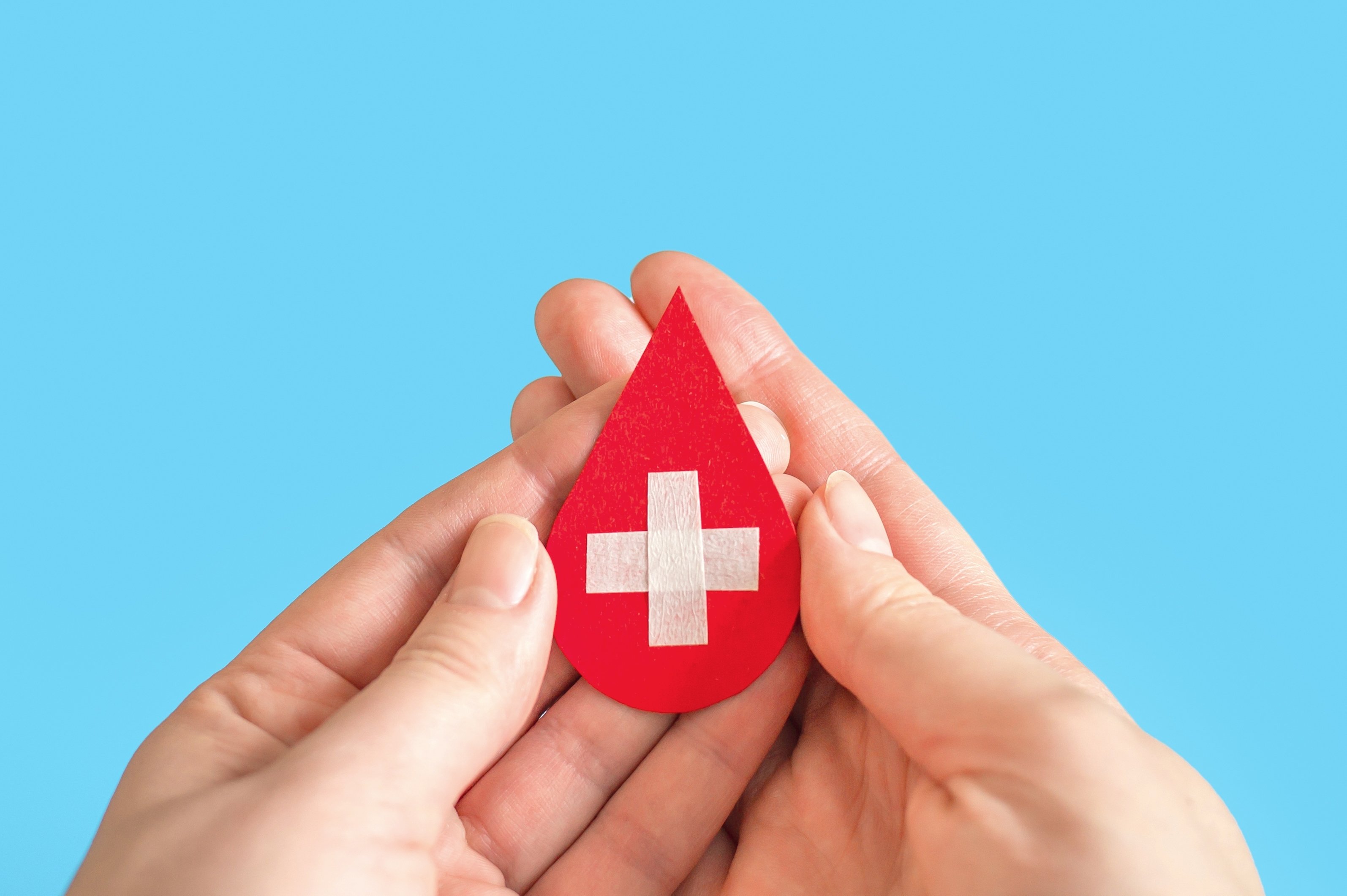 (c) 2023 E.Va/Shutterstock