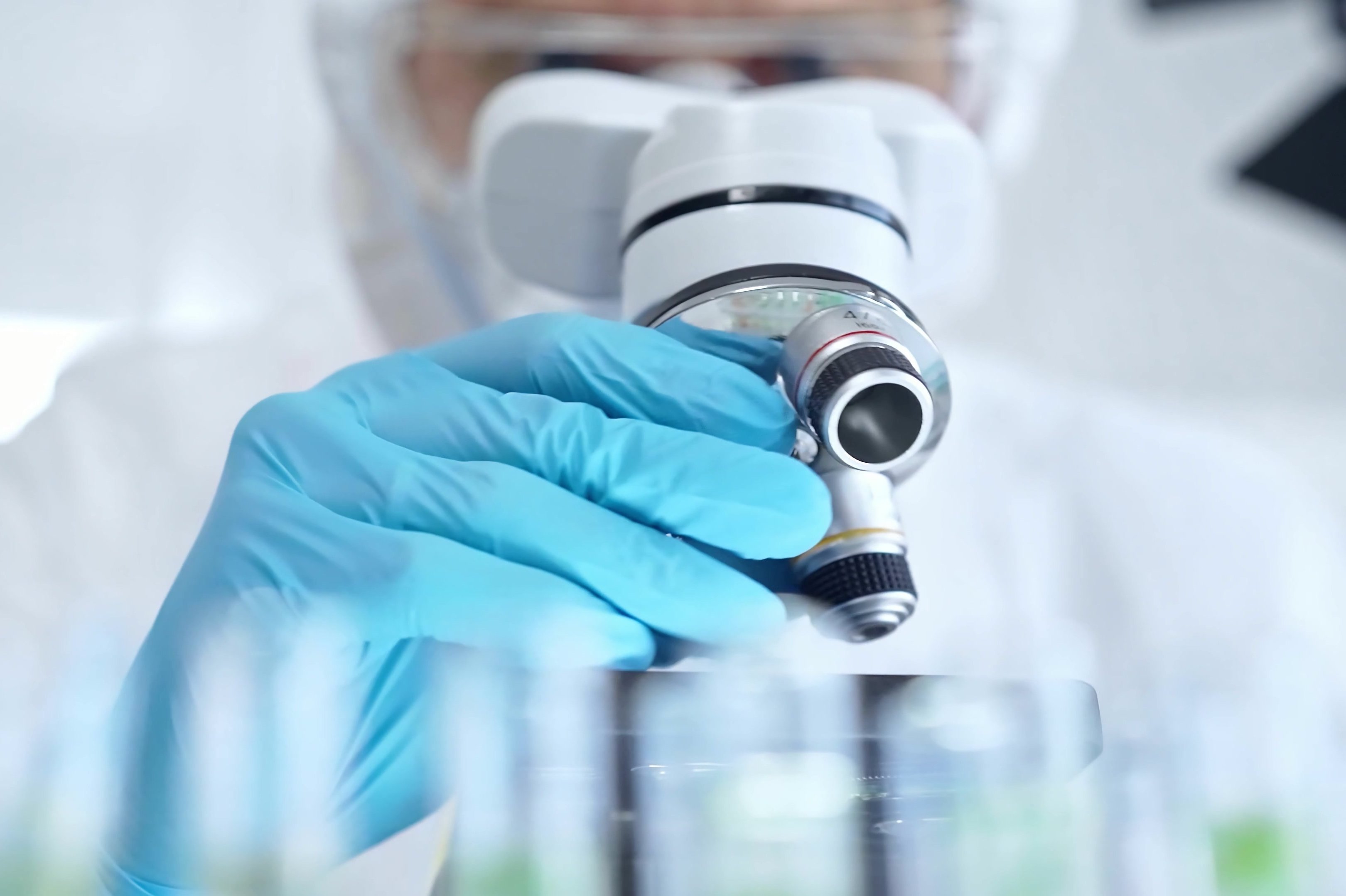 Copyright (c) 2024 Volha_R/Shutterstock.  No use without permission.