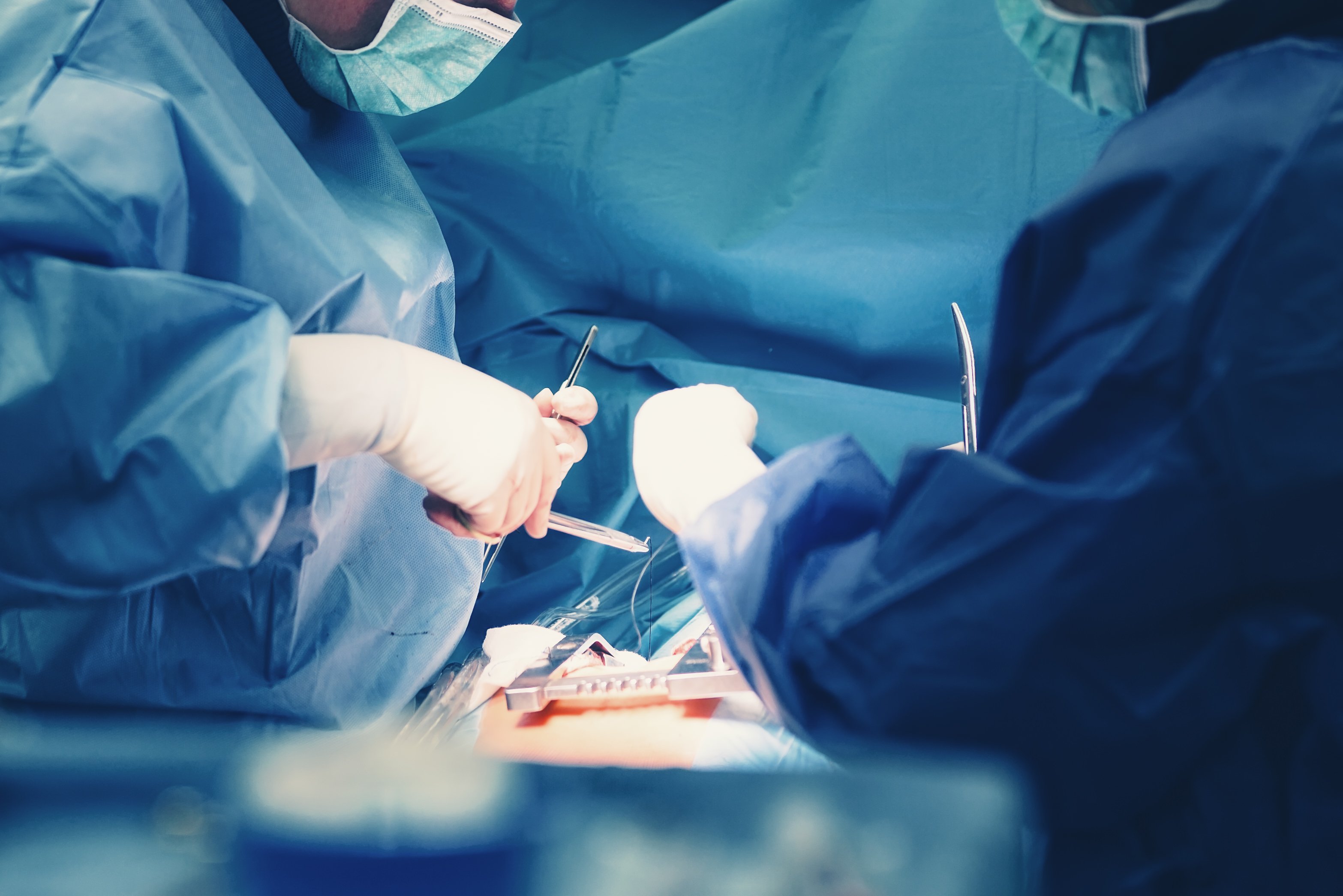 Copyright (c) 2018 MAD.vertise/Shutterstock