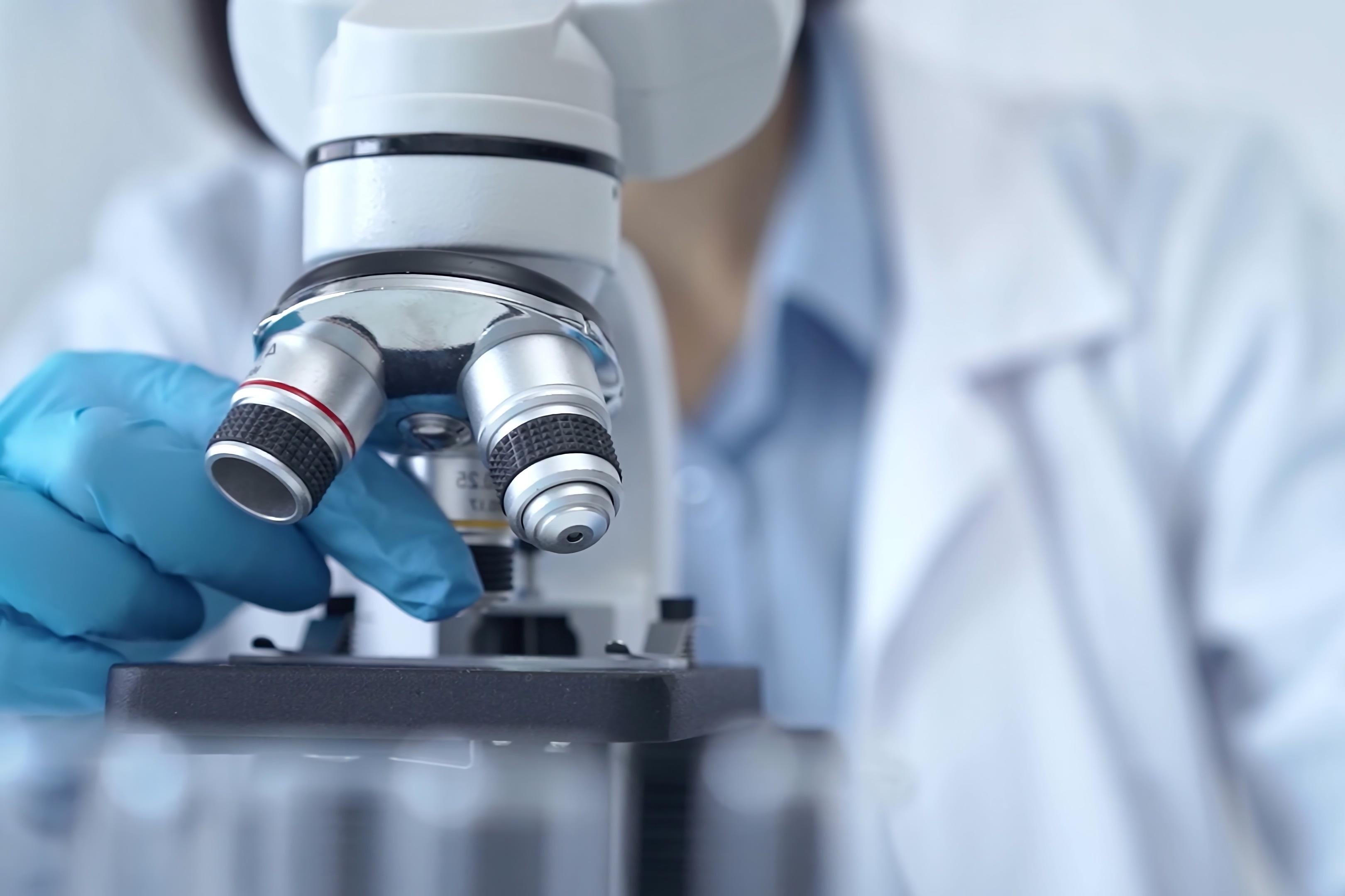 Copyright (c) 2024 Volha_R/Shutterstock