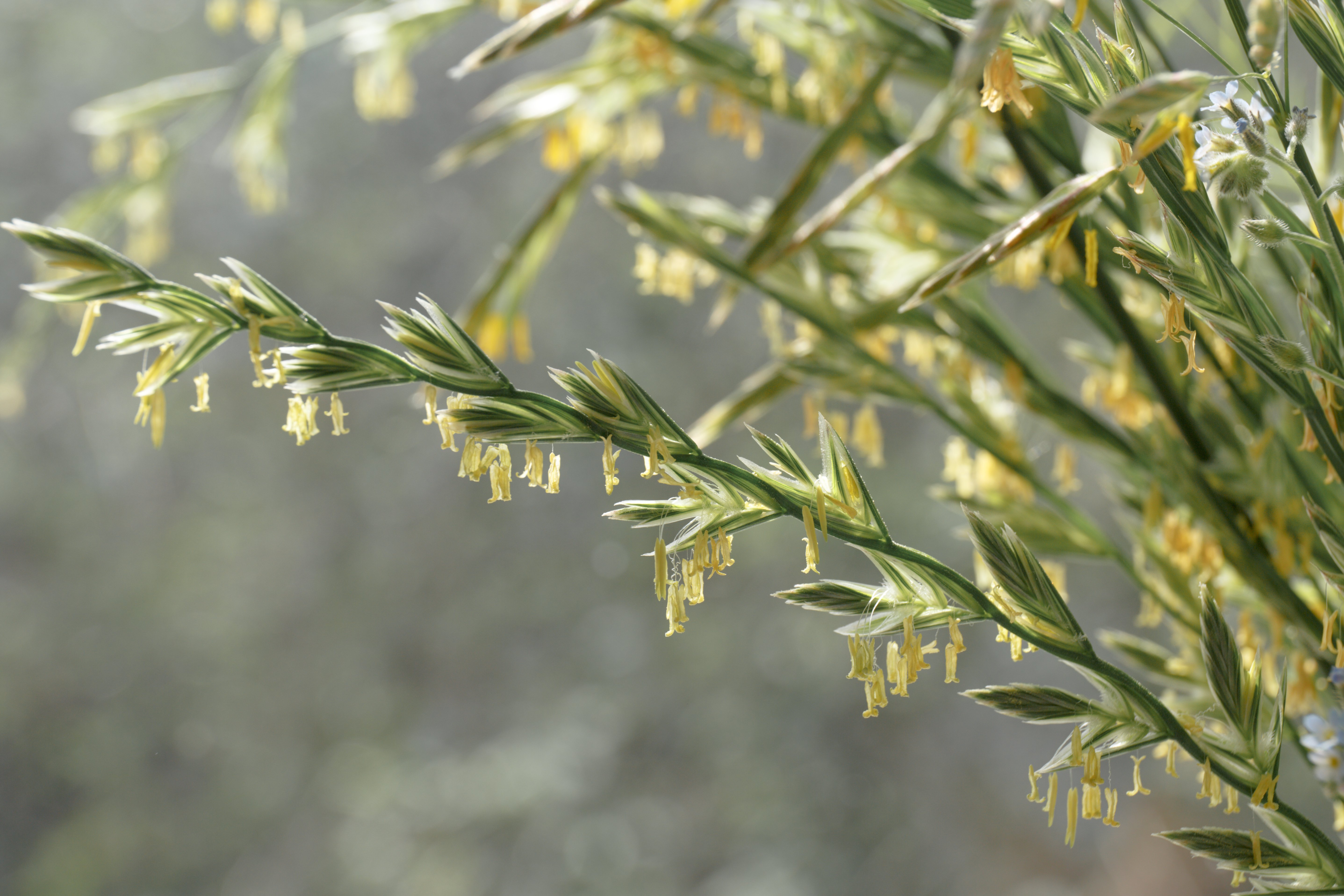 (c) 2020 Irina Boldina/Shutterstock