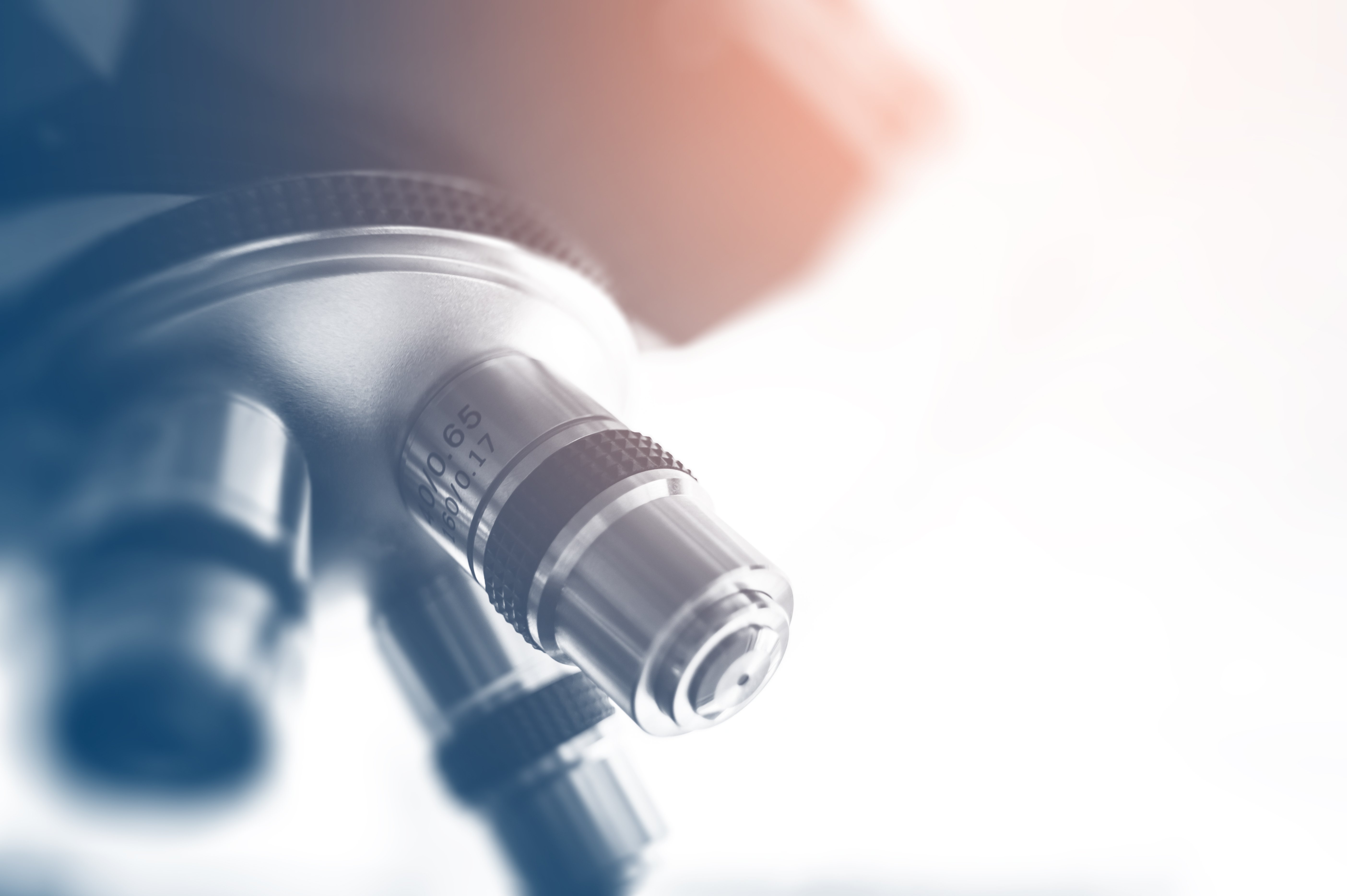 Copyright (c) 2017 freedarst/Shutterstock