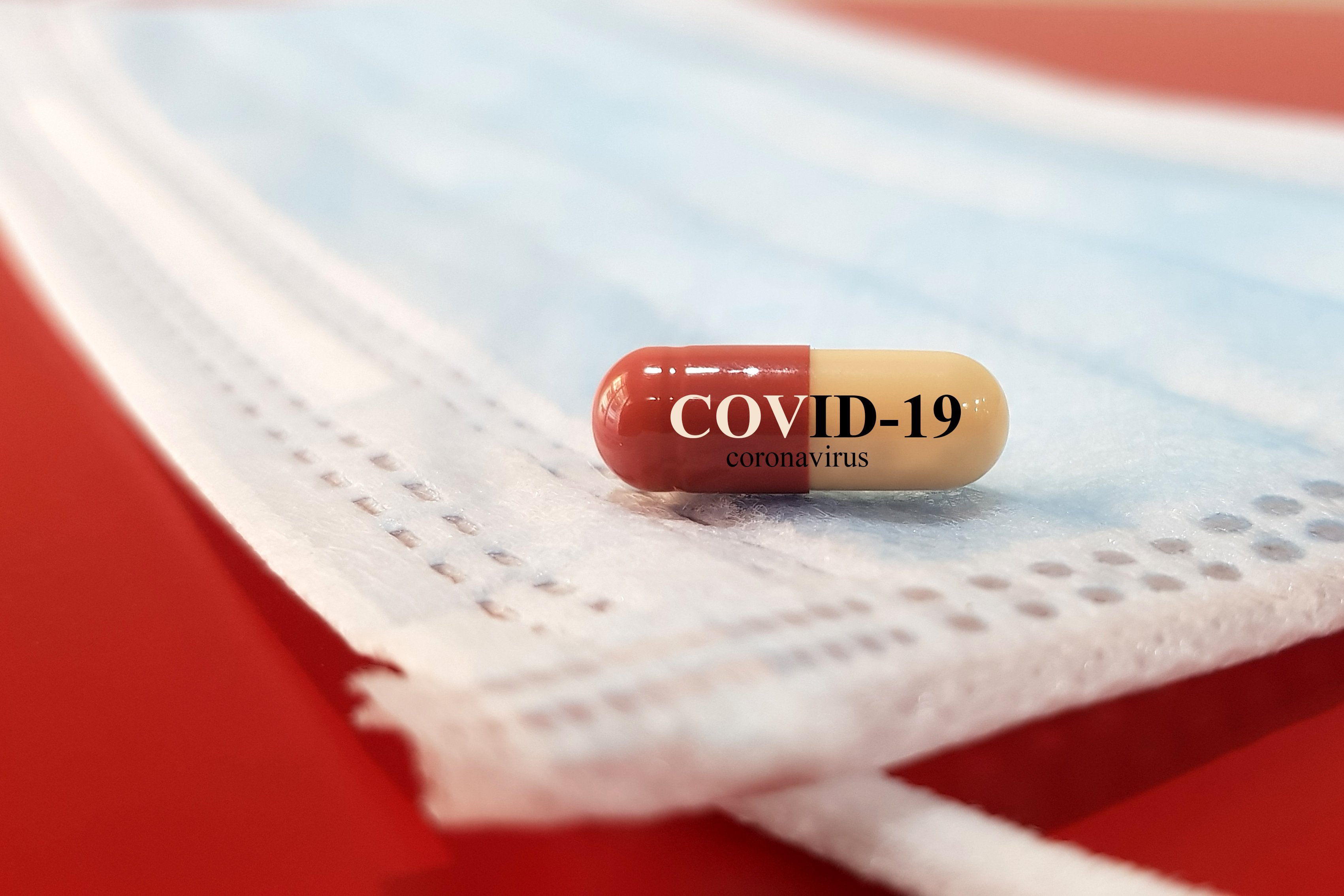 (c) 2020 joel bubble ben/Shutterstock