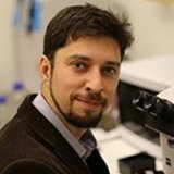 © MedUni Wien/Zentrum für Hirnforschung