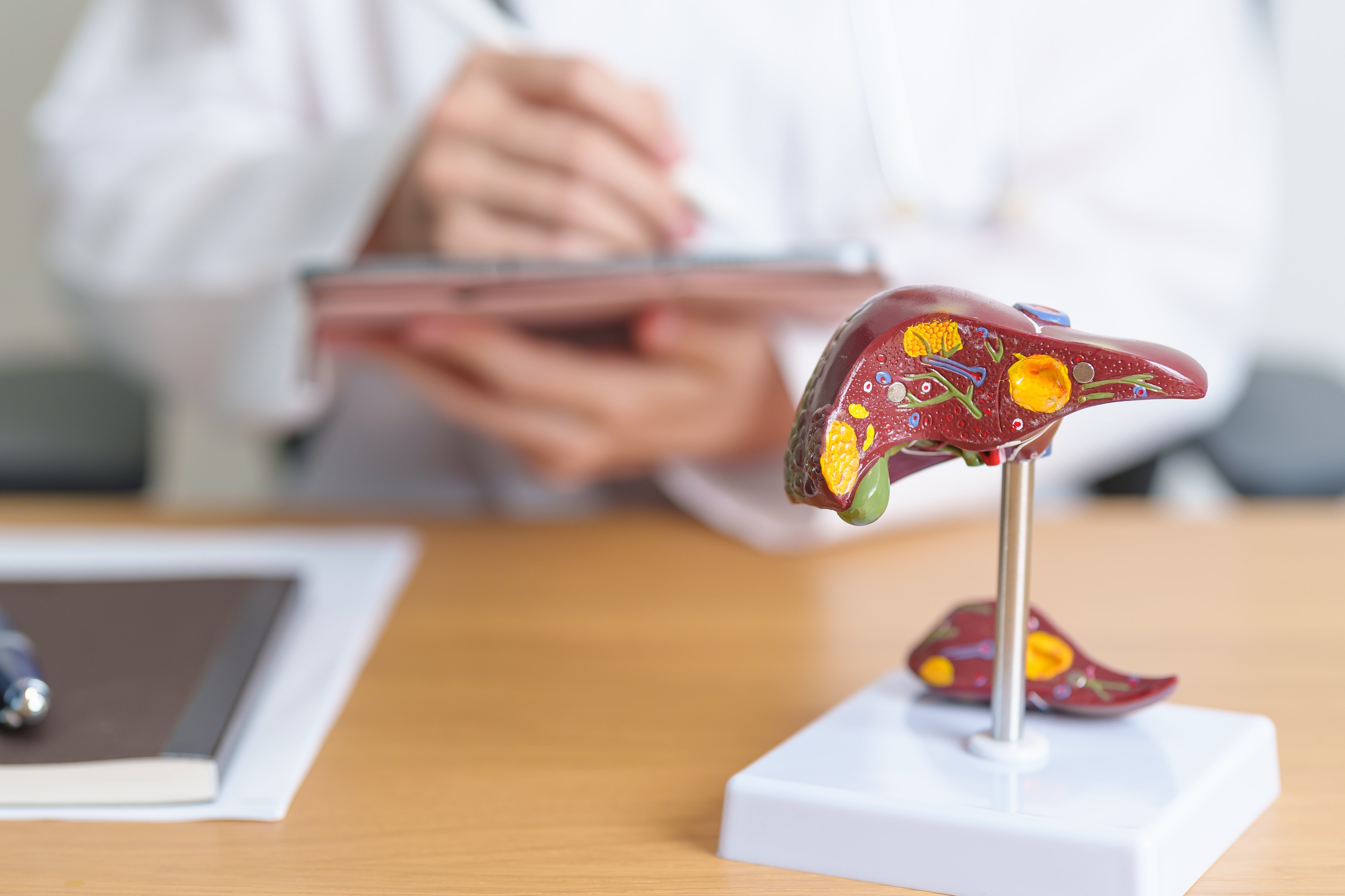 Copyright (c) 2024 Jo Panuwat D/Shutterstock